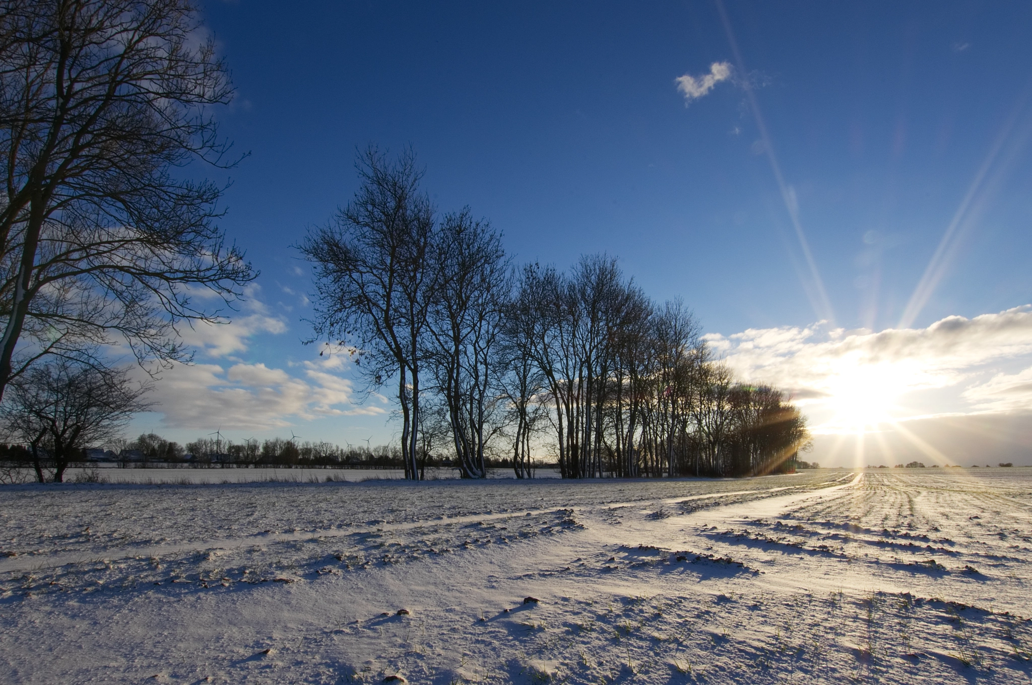 Nikon D5100 + Sigma 10-20mm F3.5 EX DC HSM sample photo. Dsc 2186 winter in brandenburg  photography