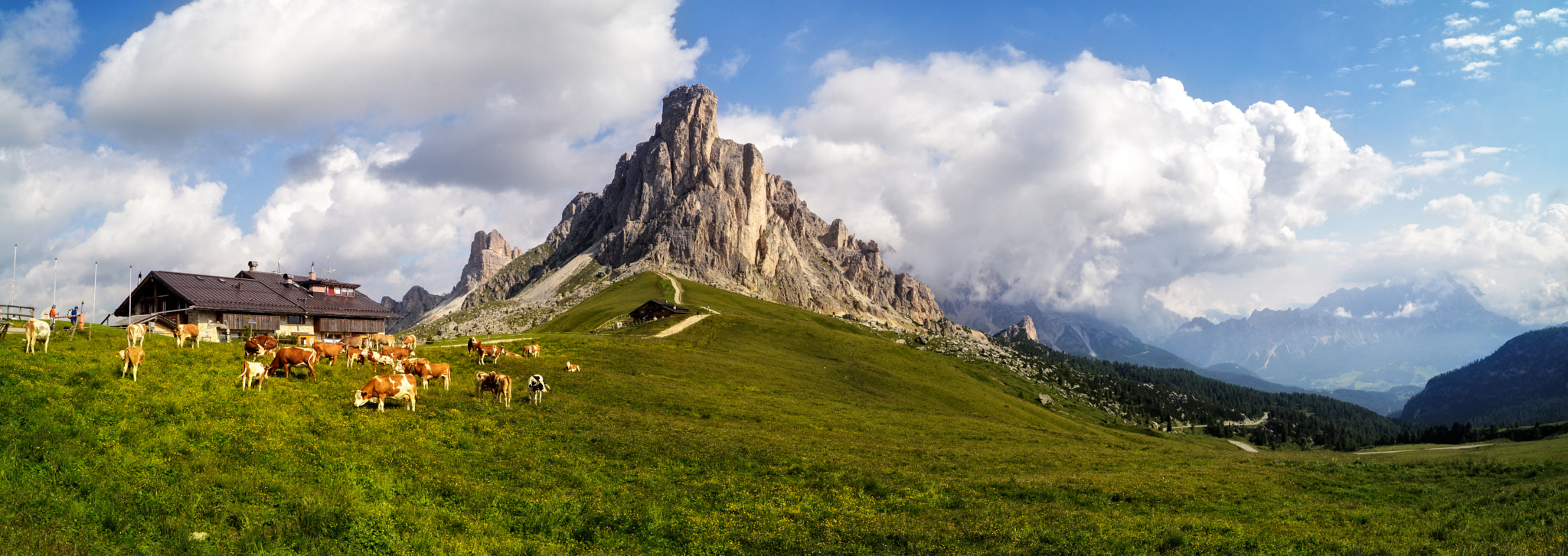 Nikon D7000 + Sigma 18-50mm F2.8 EX DC sample photo. Vacas al sol photography