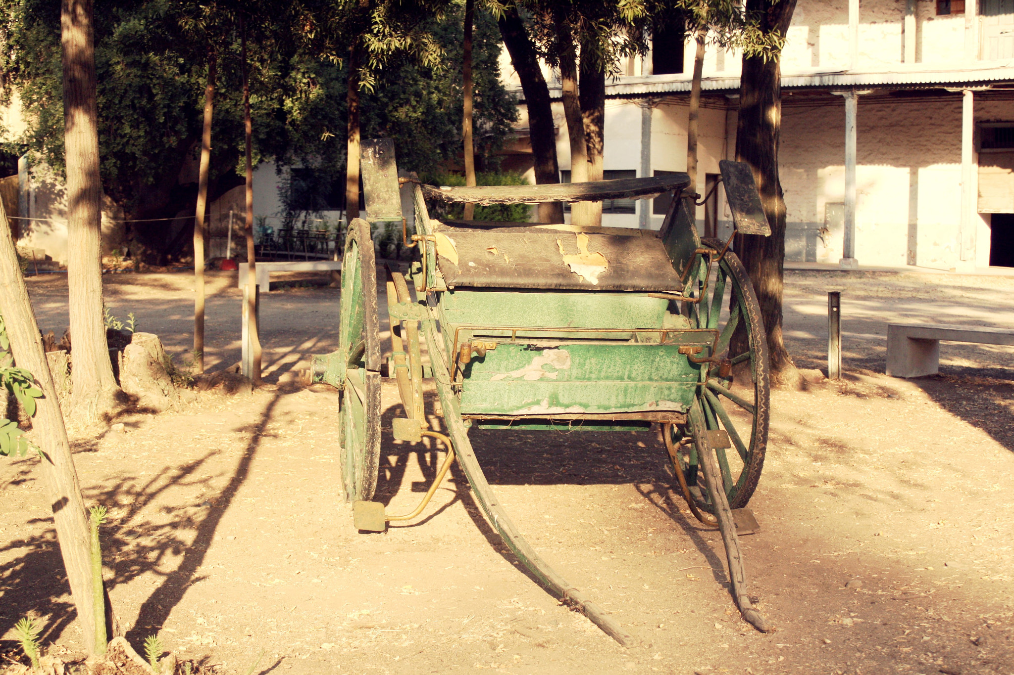 Canon EF 35-80mm f/4-5.6 sample photo