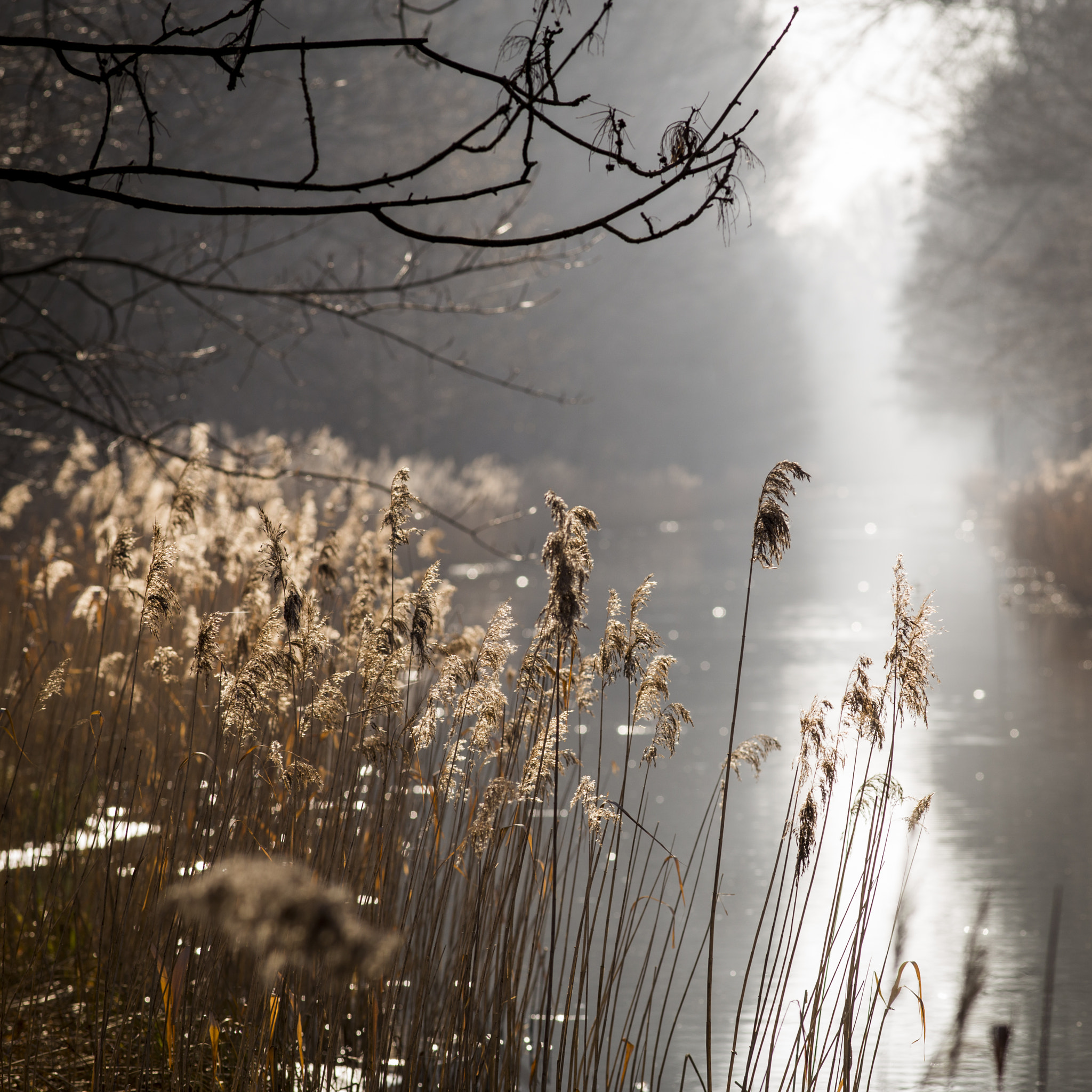 Canon EOS 6D + Canon EF 200mm F2.8L II USM sample photo. Notte canal photography