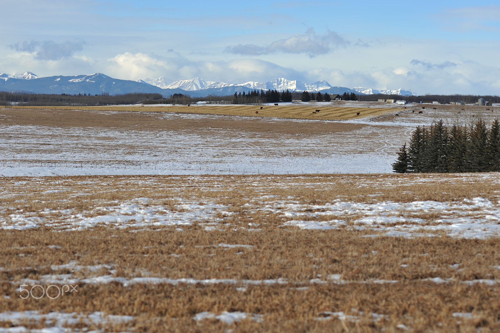 Nikon D700 + Manual Lens No CPU sample photo. Countryside photography