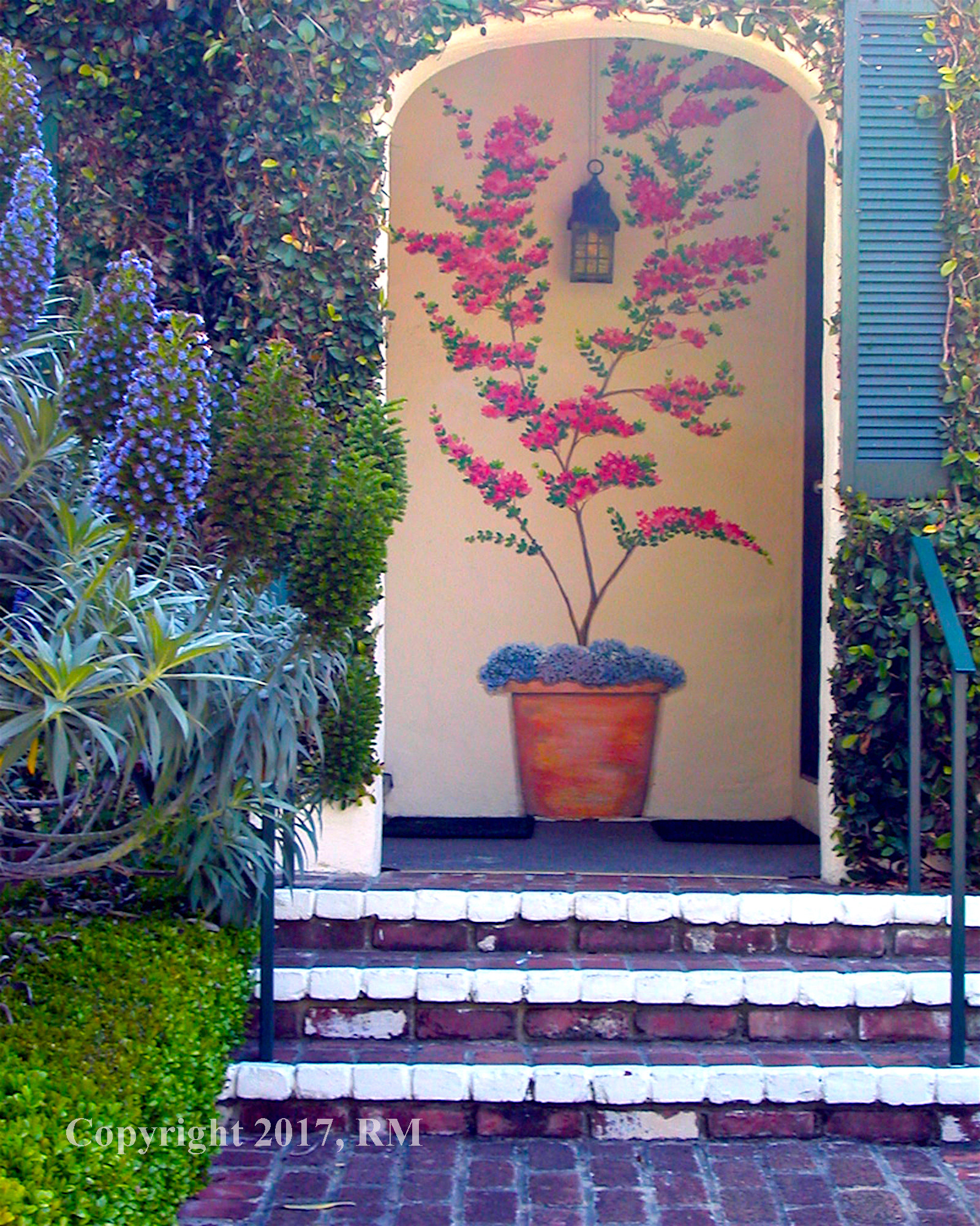 Nikon E2500 sample photo. Floral entry photography