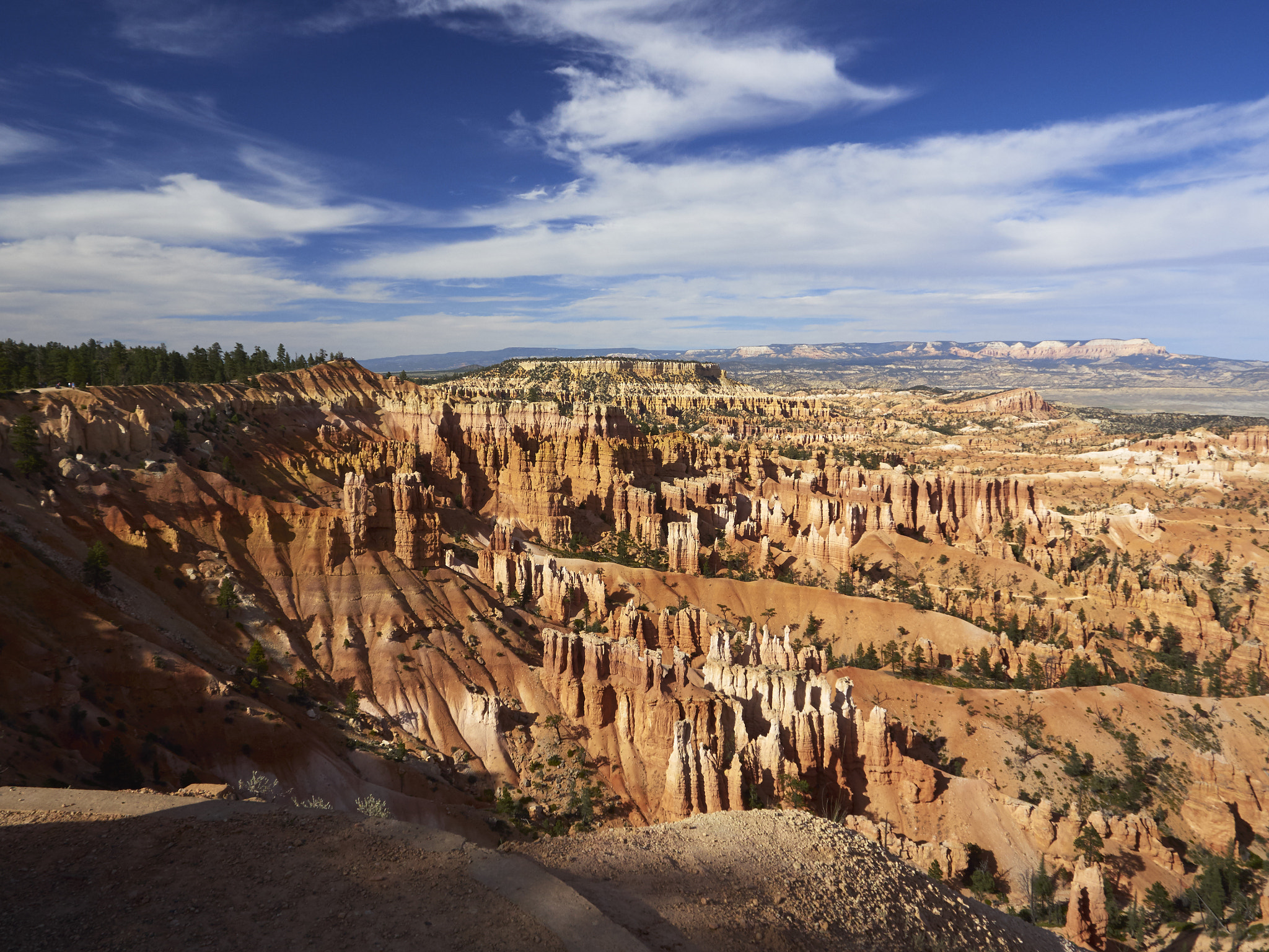 Olympus OM-D E-M5 sample photo. Bryce canyon photography