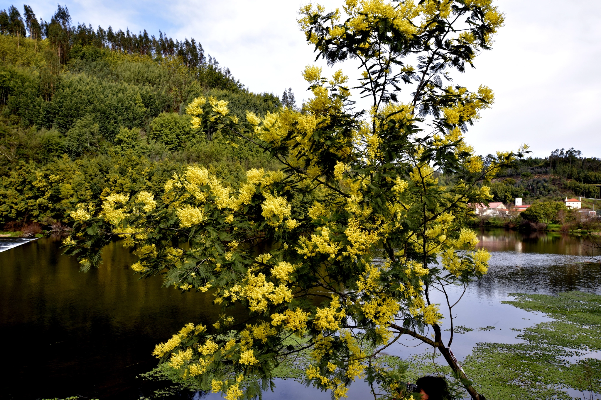 Nikon D5300 + Sigma 10-20mm F3.5 EX DC HSM sample photo. Rio mondego, porto da raiva  - portugal  photography