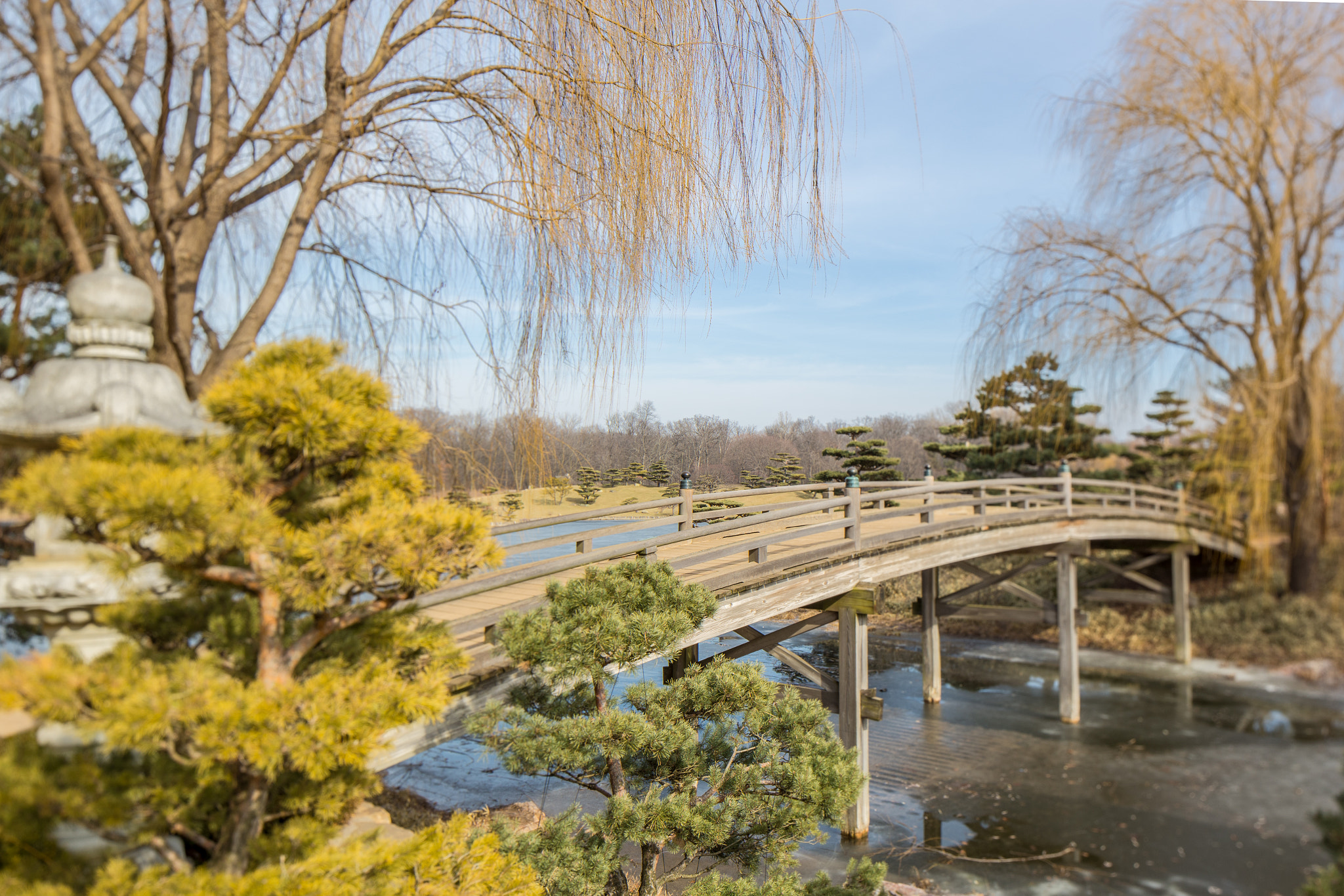 Canon TS-E 24.0mm f/3.5 L II sample photo. Garden bridge photography