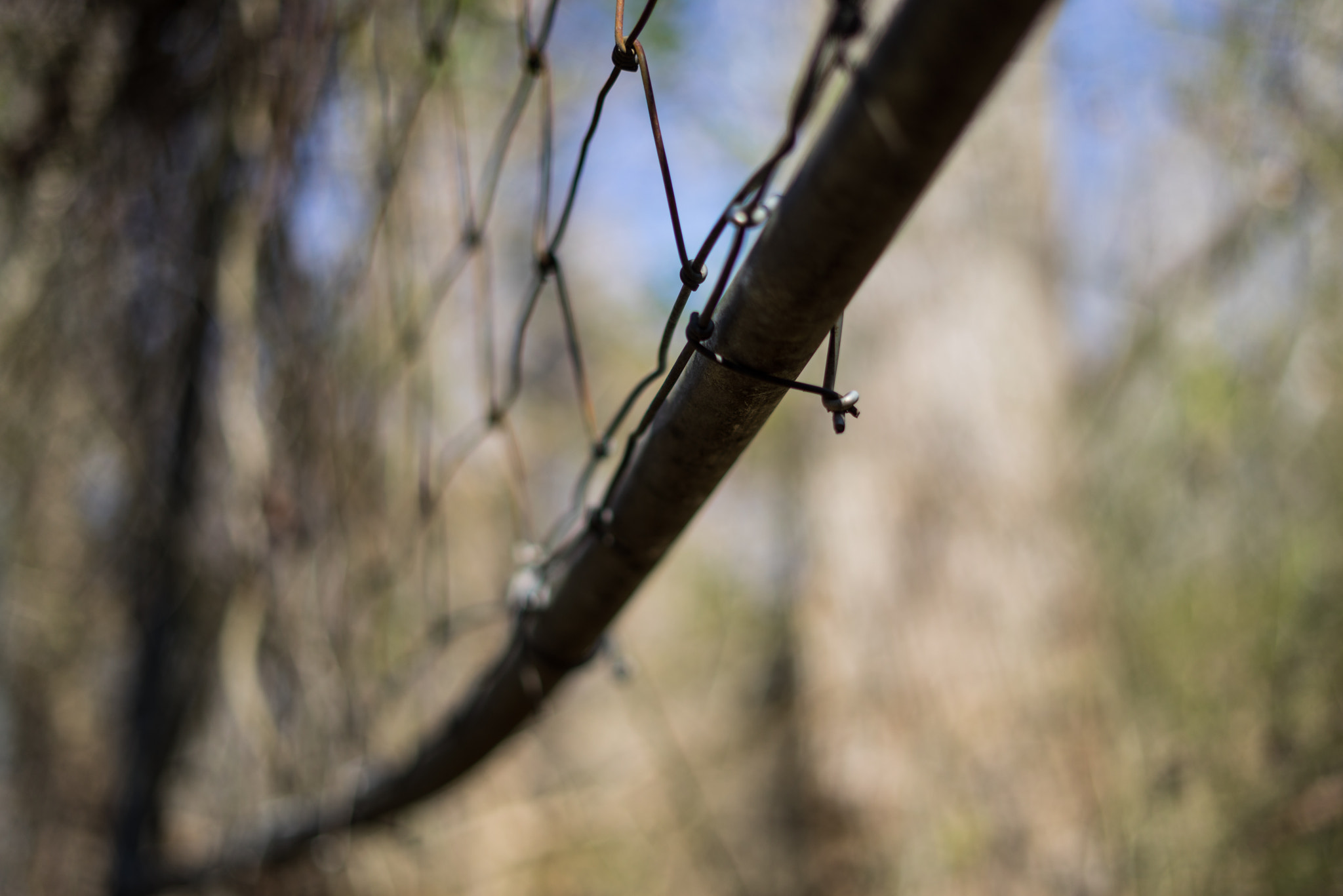 Sony a7R + Sony FE 50mm F1.8 sample photo. Under fenced photography