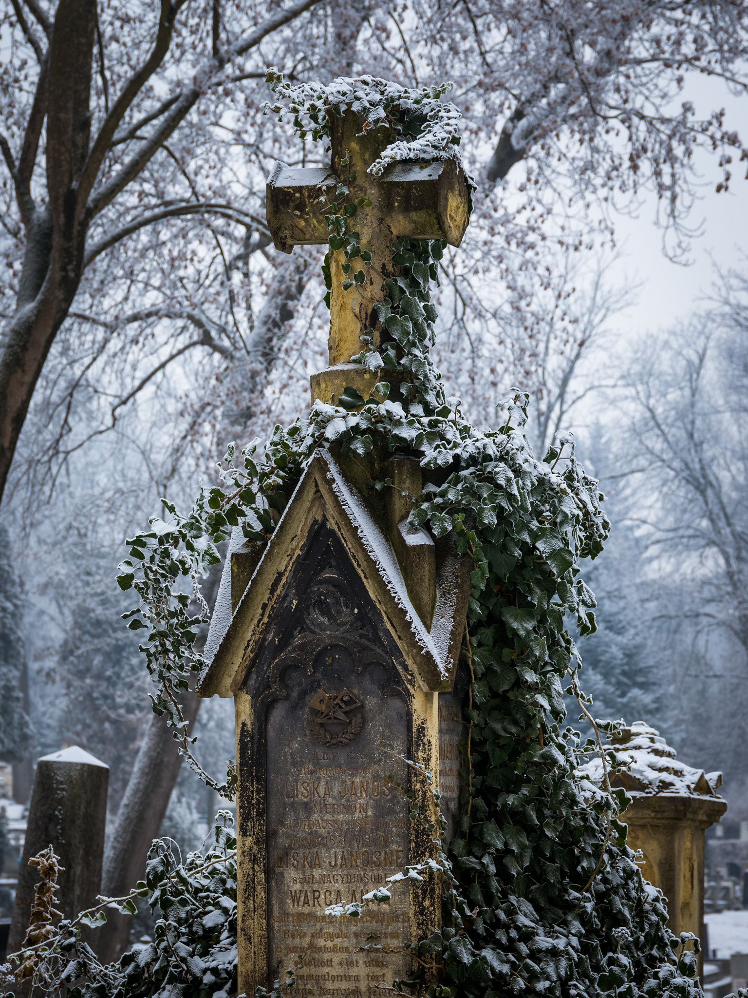 Nikon D7000 + Sigma 24-105mm F4 DG OS HSM Art sample photo. Dead, buried and forgotten photography