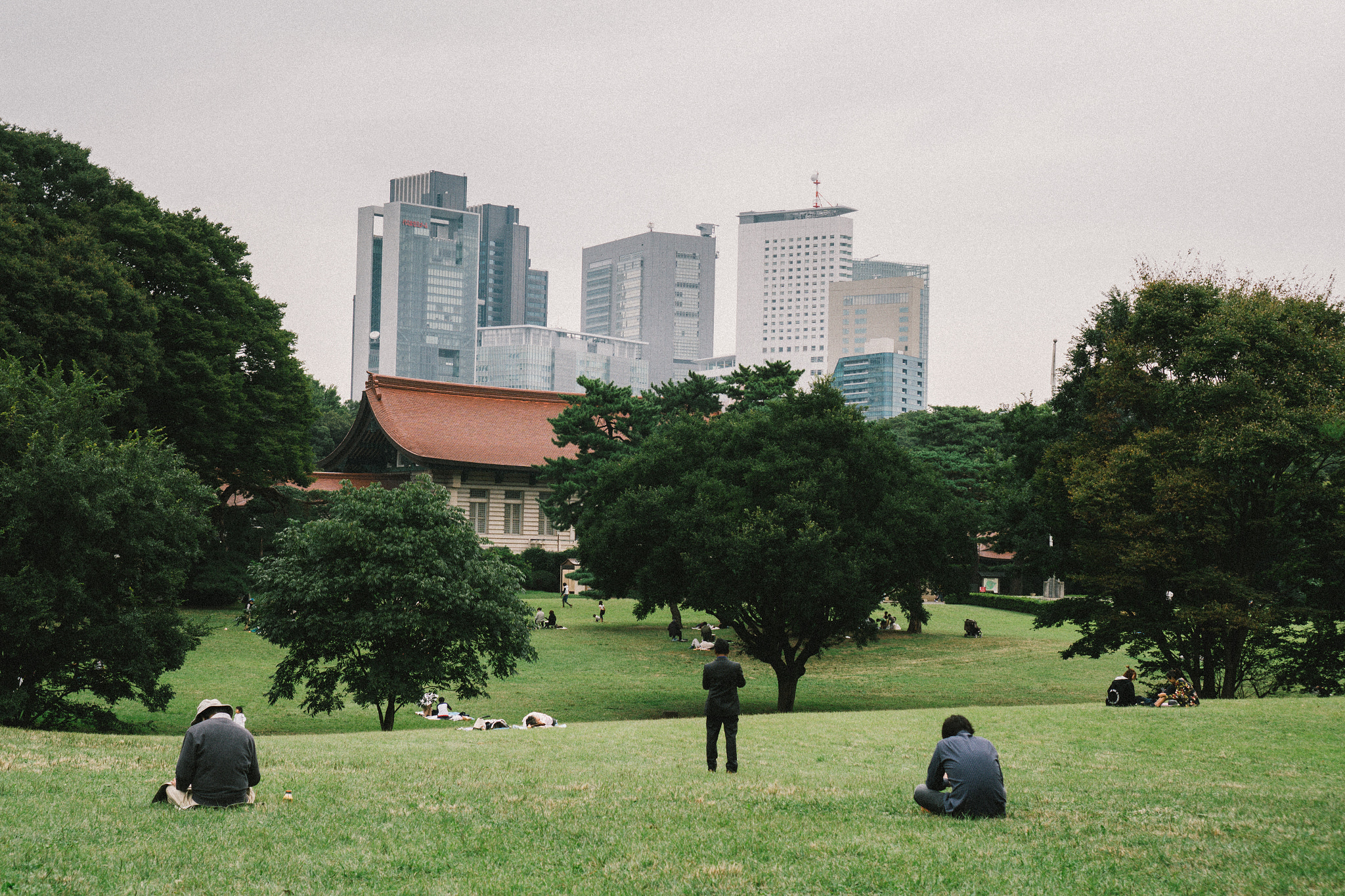 Sony E 35mm F1.8 OSS sample photo. Everyone sits equidistant from each other. photography