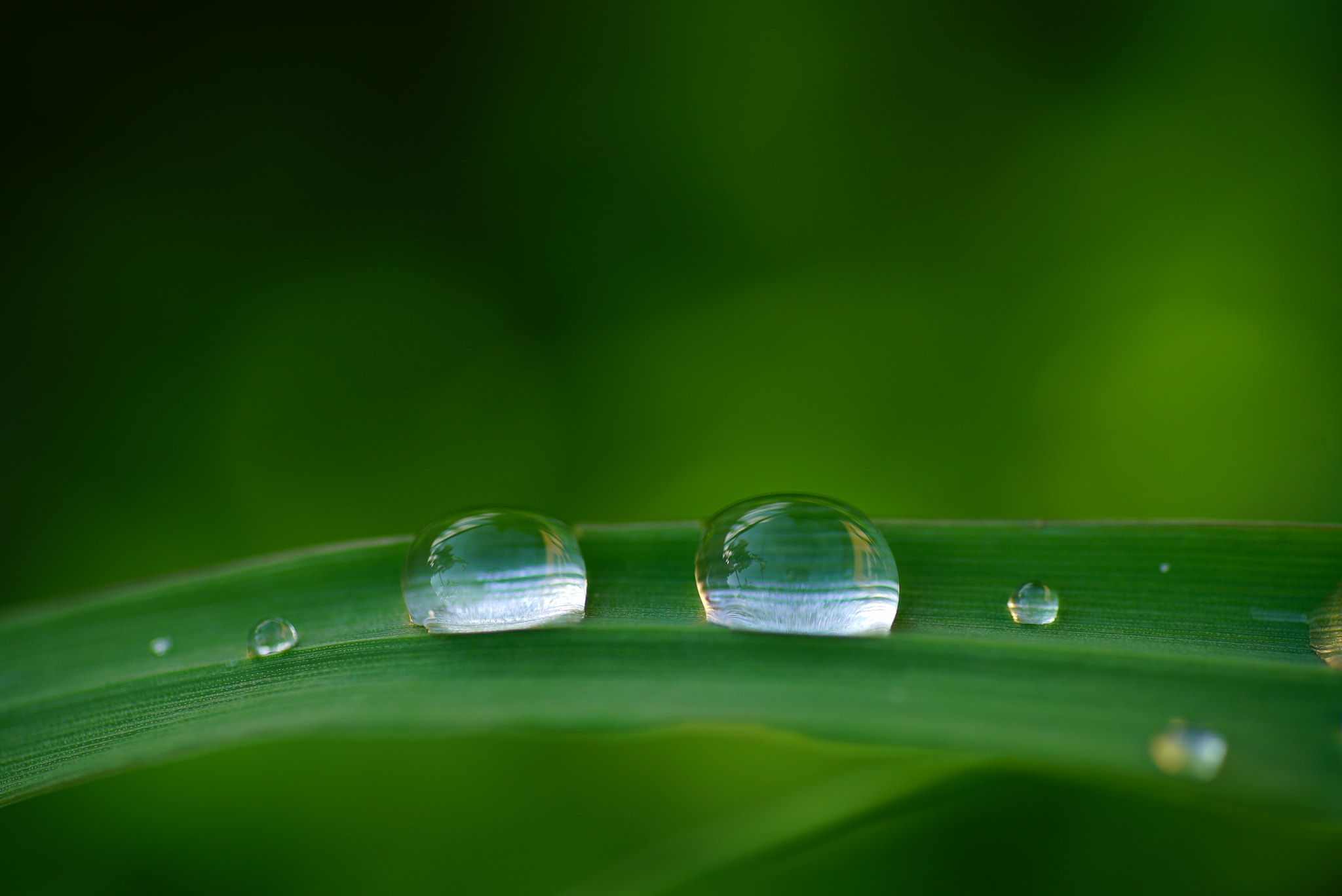 Tamron 18-270mm F3.5-6.3 Di II PZD sample photo. Tears  photography