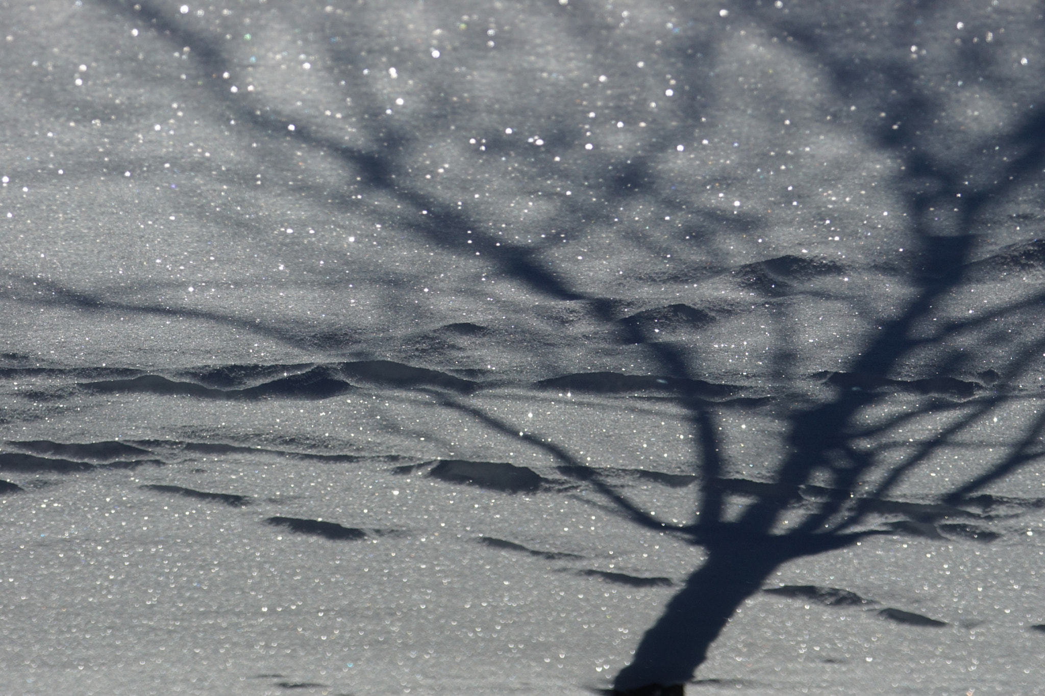 Sony ILCA-77M2 + Sony 70-400mm F4-5.6 G SSM sample photo. Neige et soleil () photography