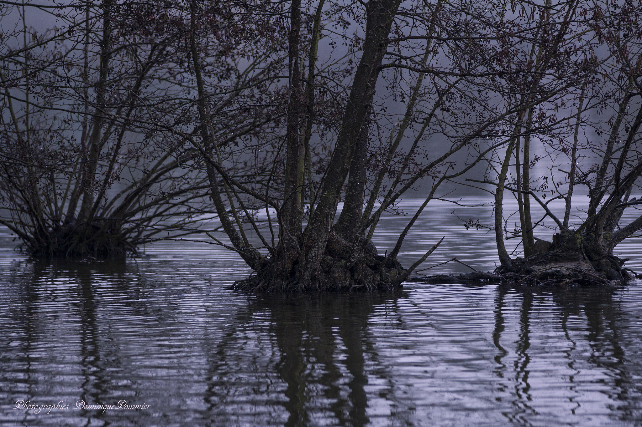 Canon EF 70-200mm F2.8L IS II USM sample photo. Soirée brumeuse photography