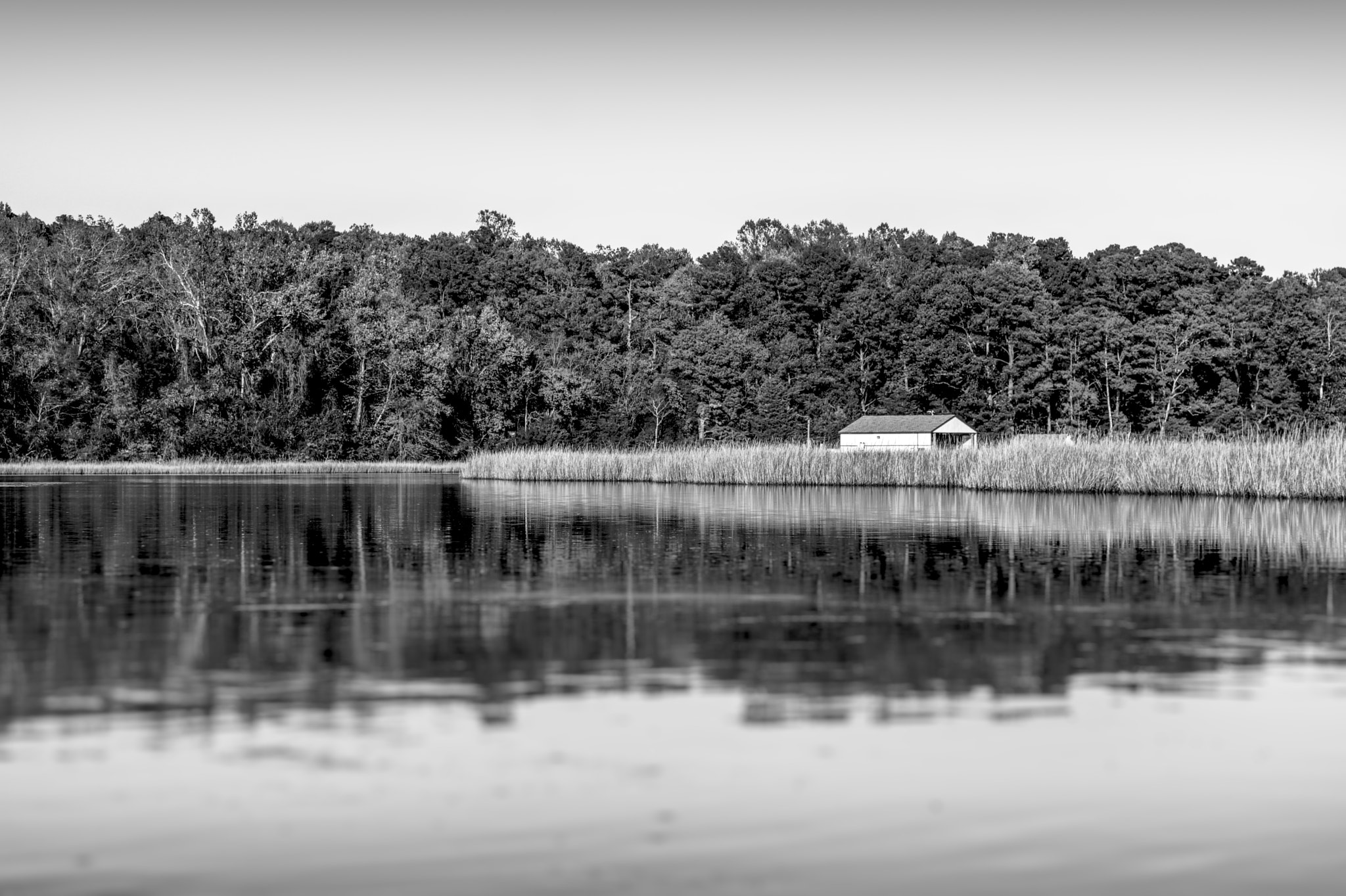 Canon EOS 760D (EOS Rebel T6s / EOS 8000D) sample photo. New quarter park watershed photography