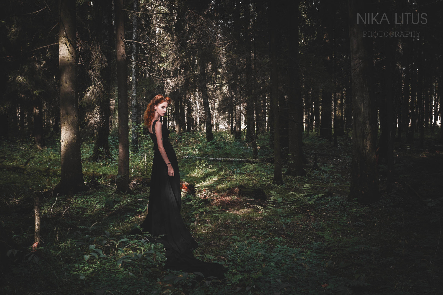 Sigma 24-35mm F2 DG HSM Art sample photo. Forest fairy photography