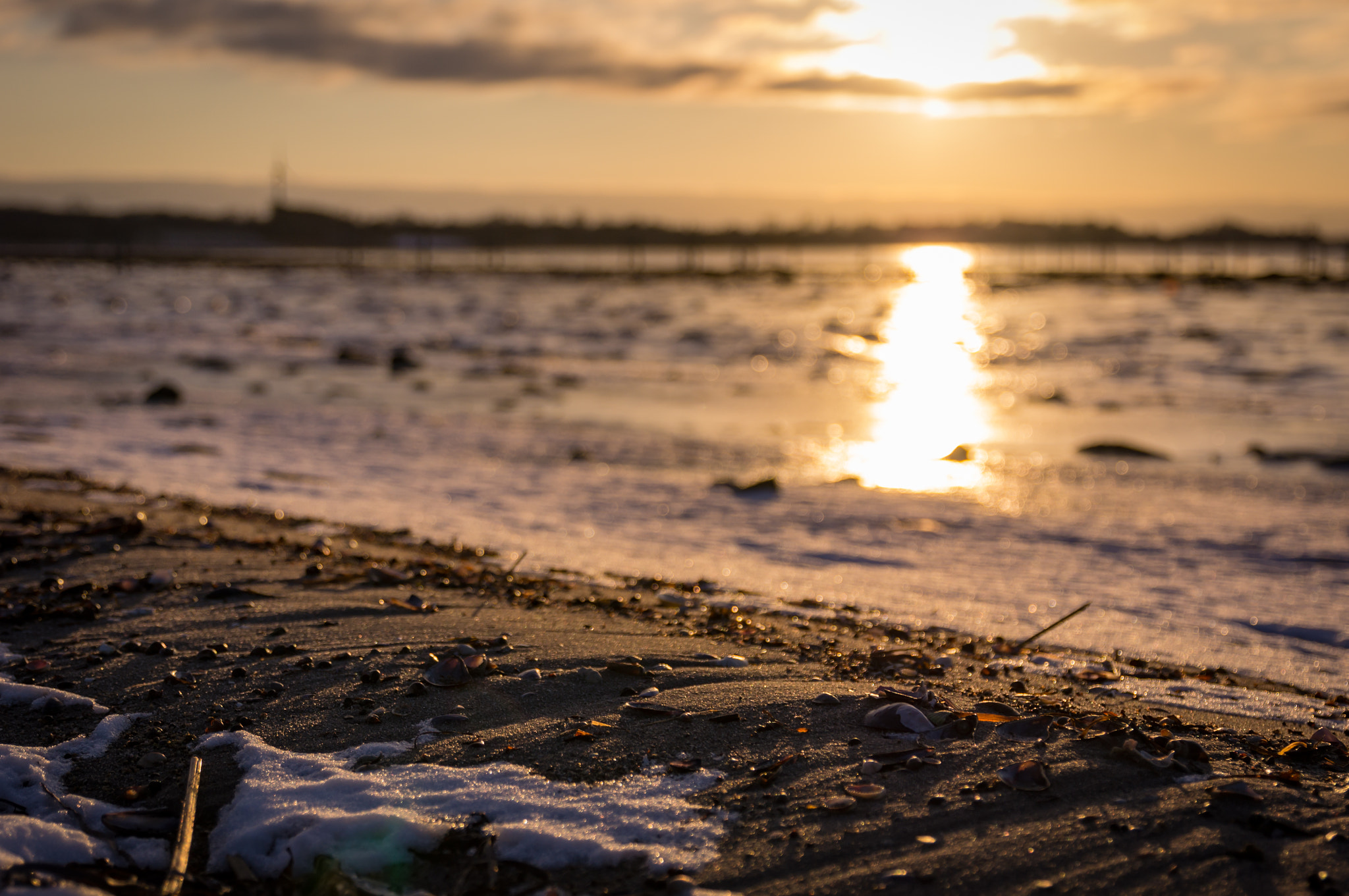 Sigma 17-70mm F2.8-4 DC Macro HSM sample photo. Cold shore photography