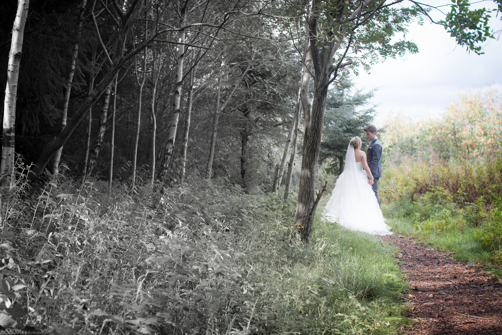 Sigma 30mm F1.4 EX DC HSM sample photo. Wedding second shooter photography