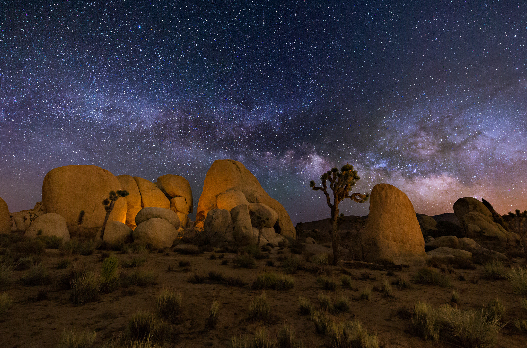Canon EOS-1D X + Canon EF 28-80mm f/3.5-5.6 sample photo. A night in joshua tree photography