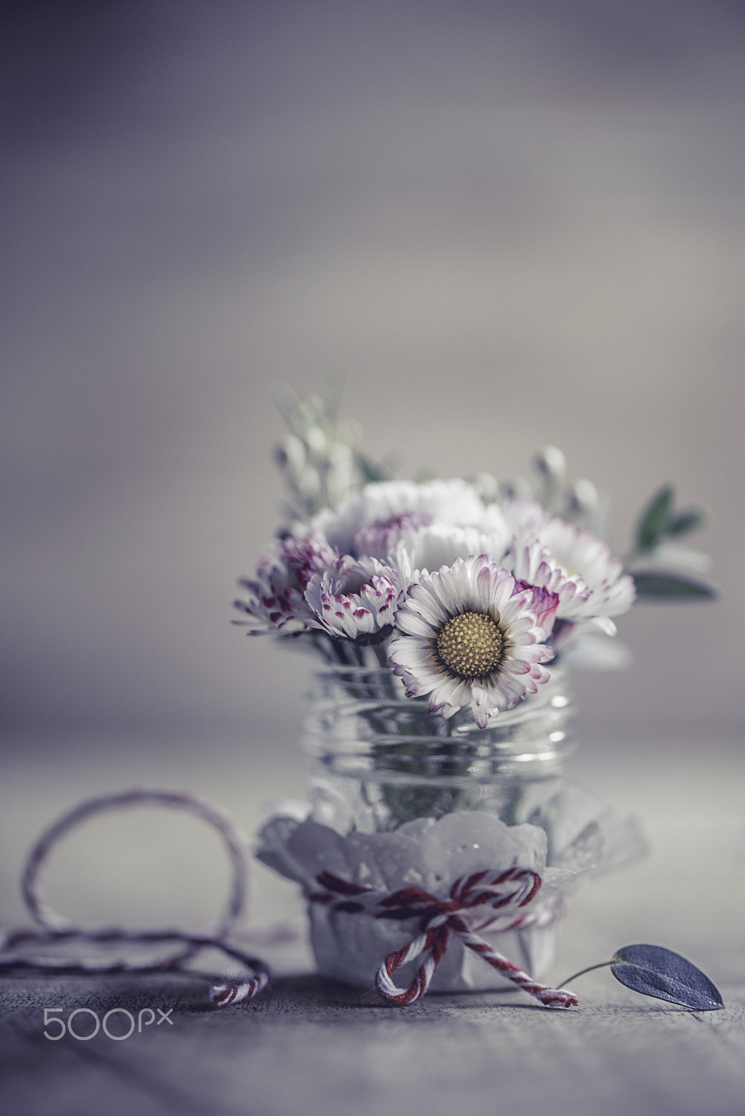Nikon AF-S Micro-Nikkor 105mm F2.8G IF-ED VR sample photo. Spring signs photography