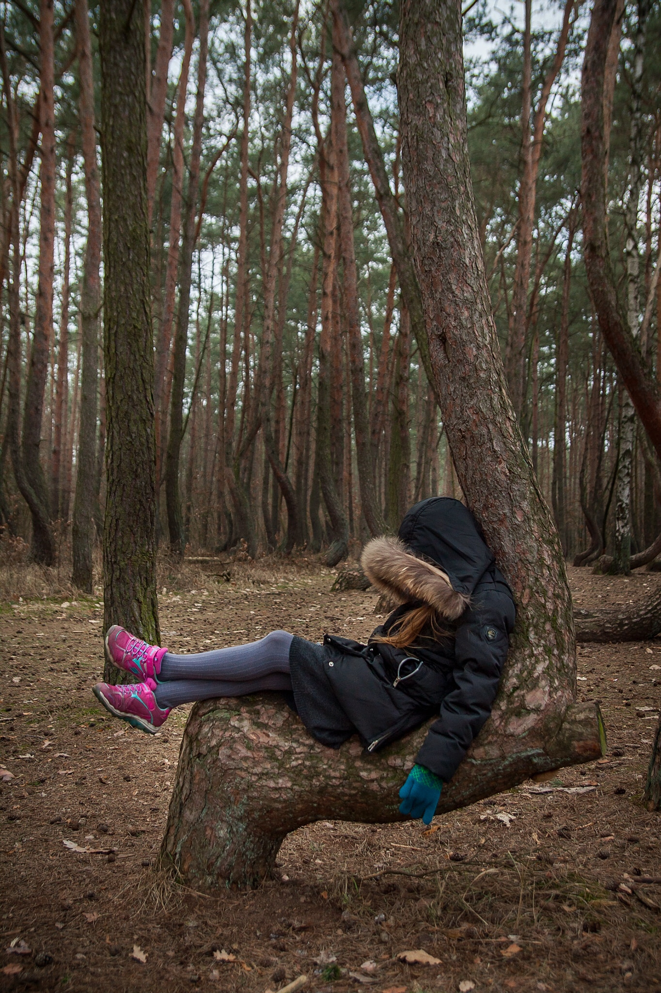 Canon EOS 50D + Tamron SP AF 17-50mm F2.8 XR Di II LD Aspherical (IF) sample photo. Oooooh, that's what they were made for ;) the crooked forest and a daughter. poland. photography