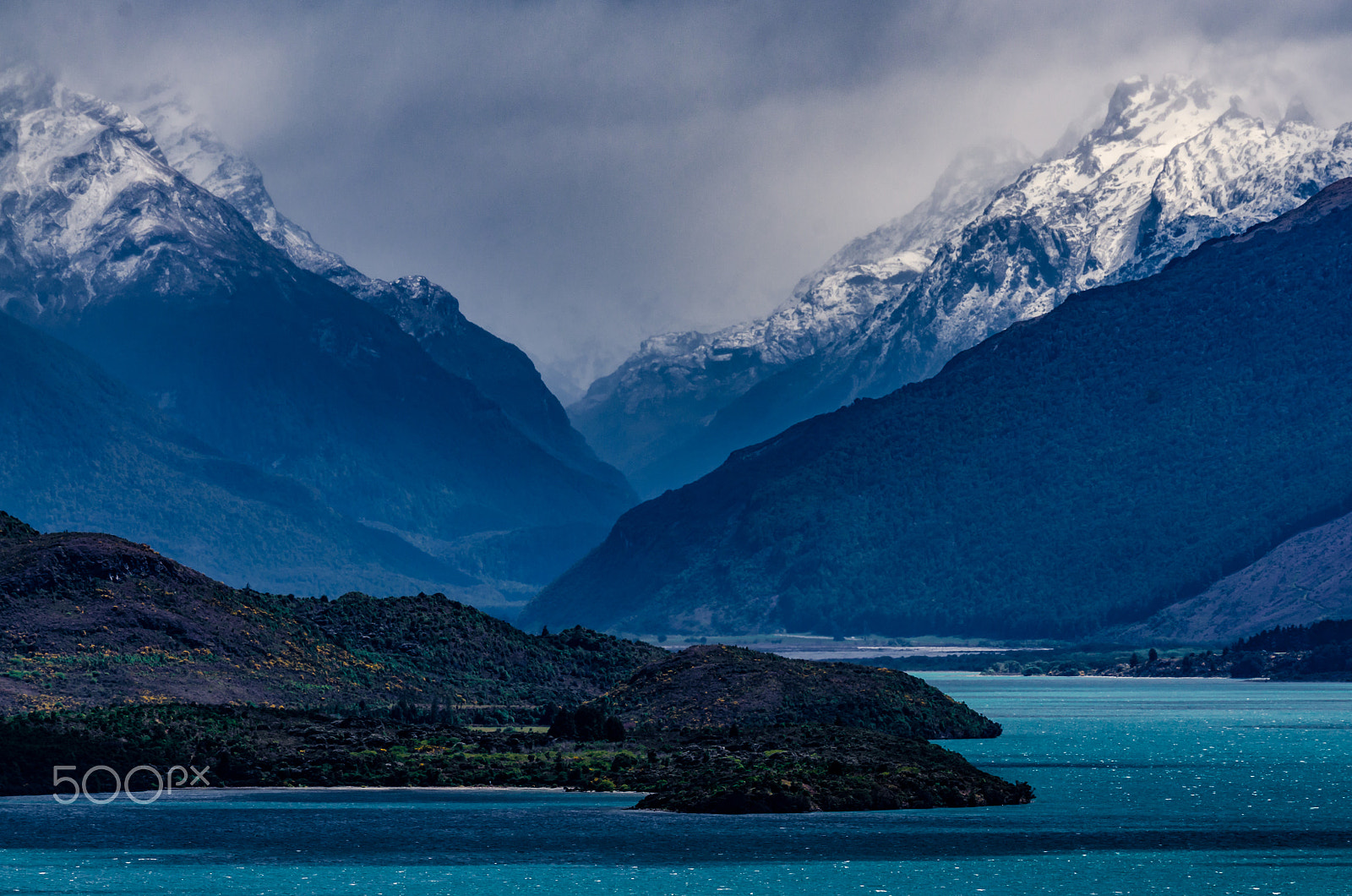 Sigma 150-600mm F5-6.3 DG OS HSM | C sample photo. Blue majestic photography
