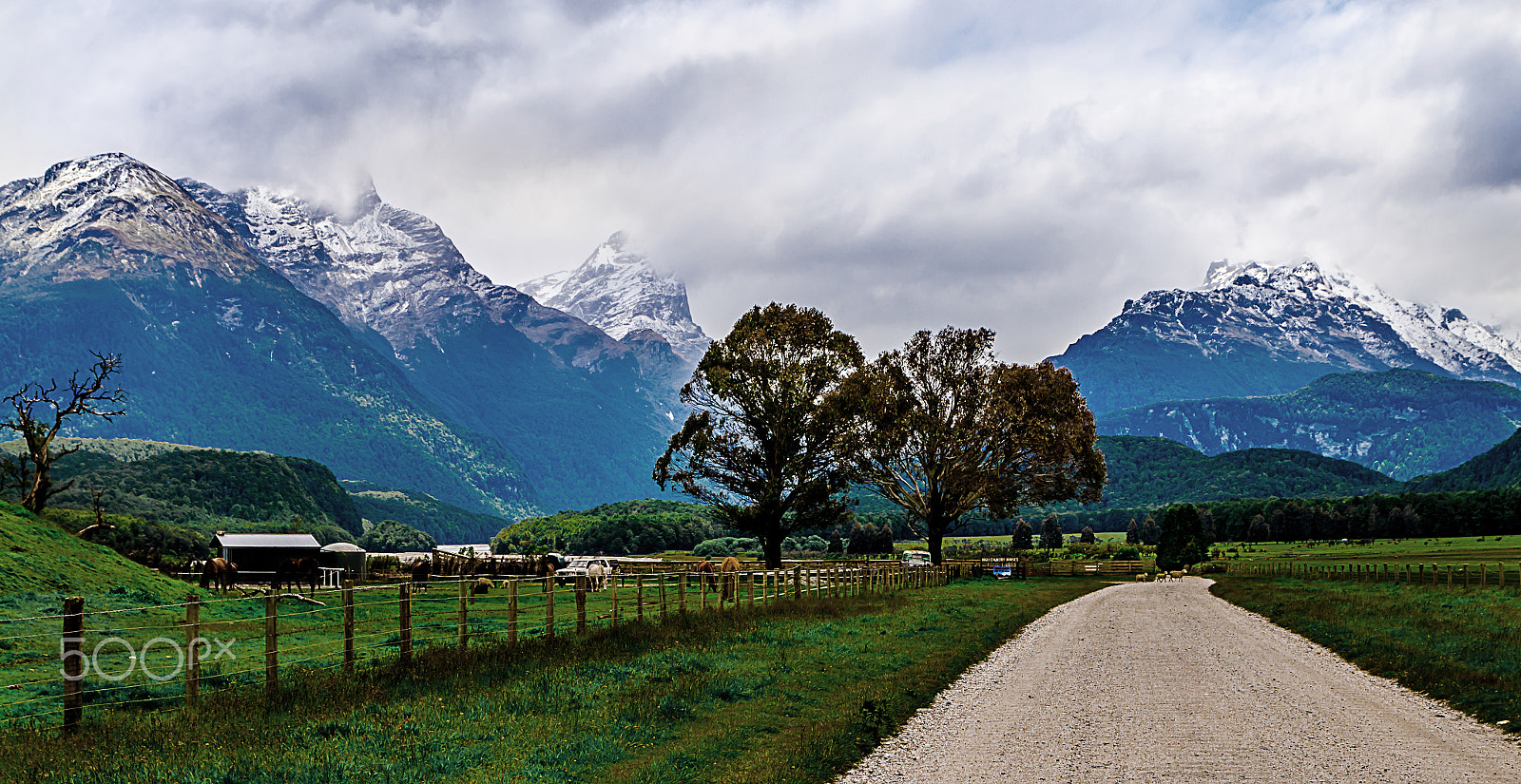 Nikon D7000 sample photo. Farm in paradise photography