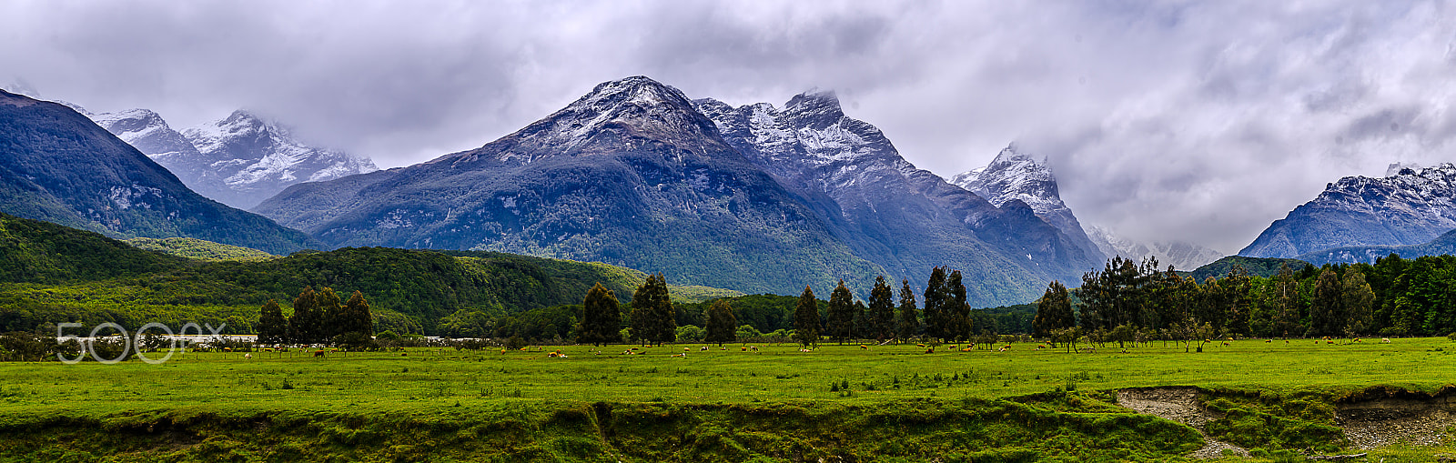 Sigma 17-70mm F2.8-4 DC Macro OS HSM sample photo. Paradise vally photography