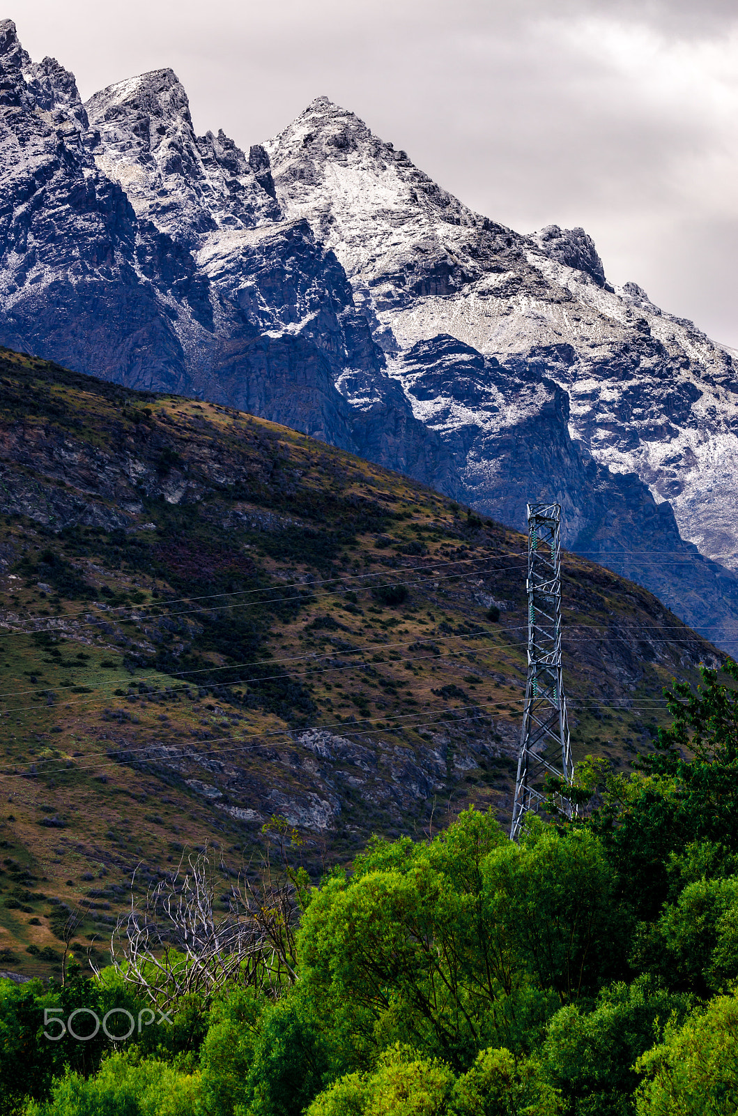 Sigma 150-600mm F5-6.3 DG OS HSM | C sample photo. No justice photography