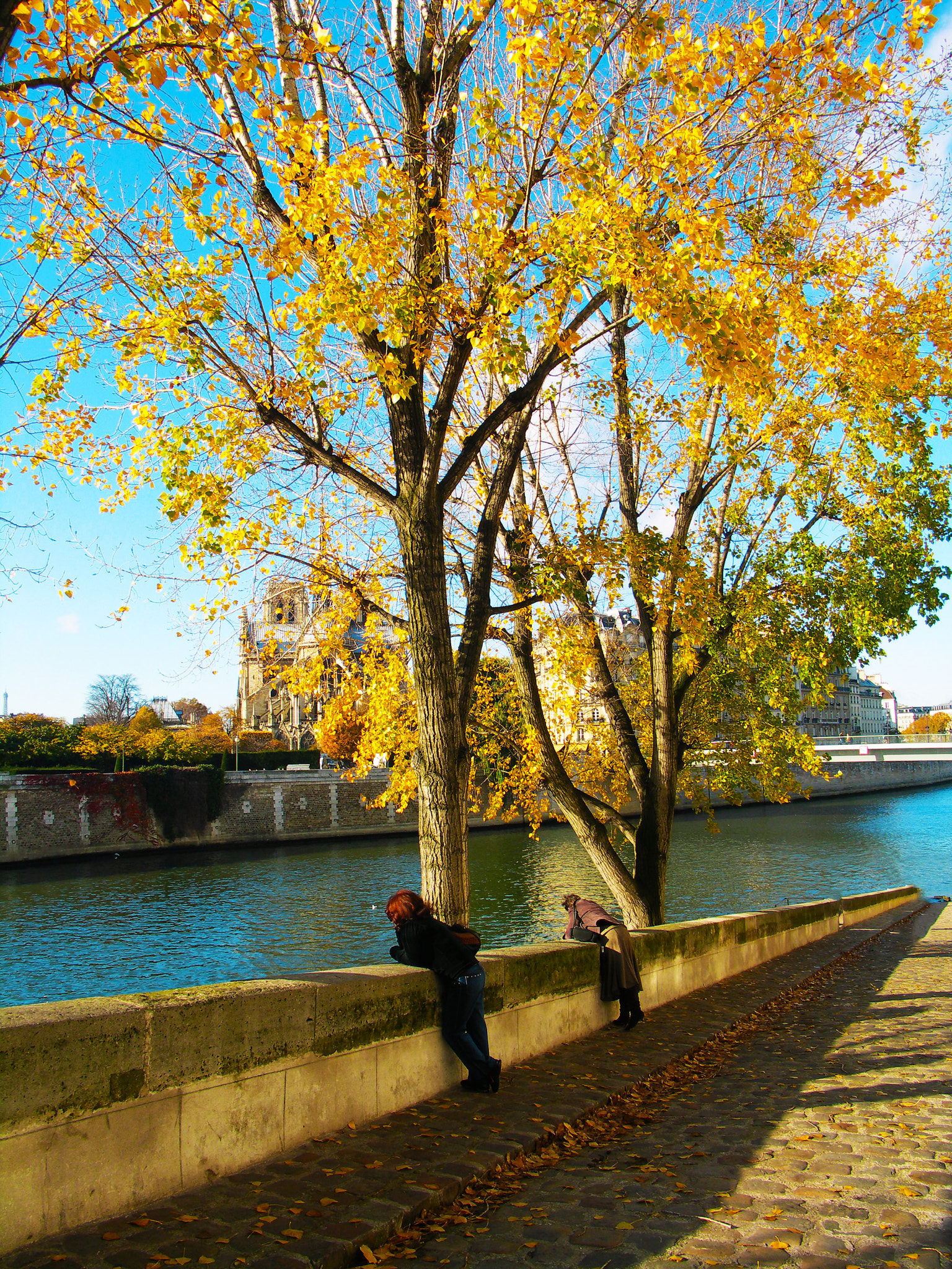KONICA MINOLTA DiMAGE A200 sample photo. Quai d'Órleans - paris - ile de france photography