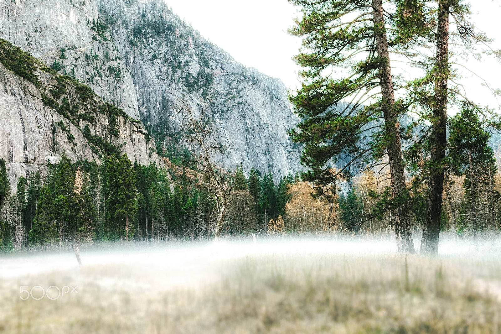 Canon EOS 1200D (EOS Rebel T5 / EOS Kiss X70 / EOS Hi) + Sigma 30mm F1.4 EX DC HSM sample photo. Fog along the yosemite valley floor photography