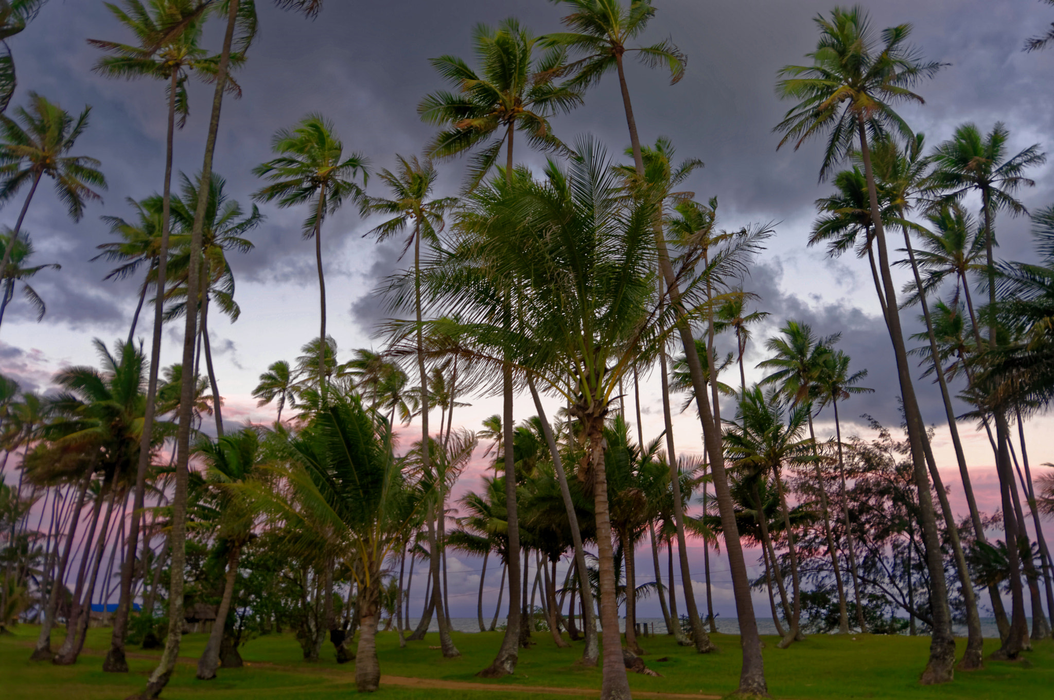 Pentax K20D sample photo. Nouvelle-caledonie photography