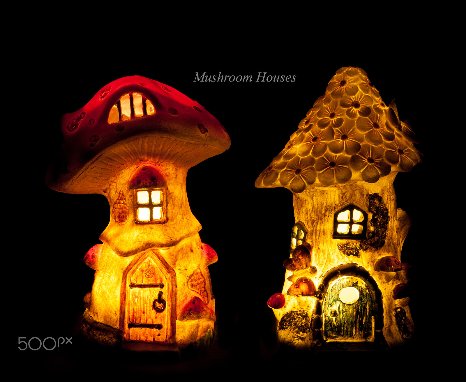 Canon EOS-1D Mark III sample photo. Mushroom houses photography