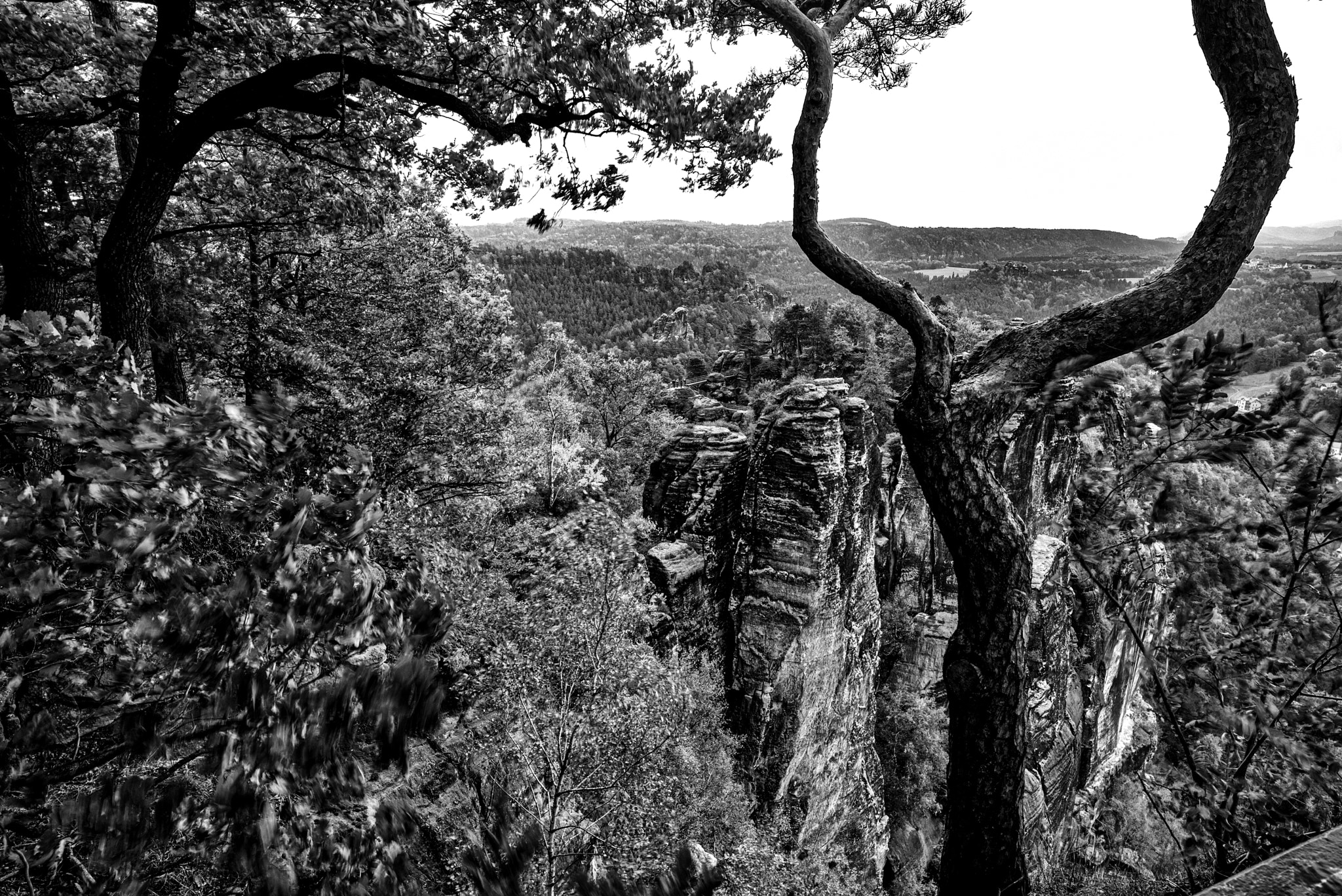 Leica Tri-Elmar-M 16-18-21mm F4 ASPH sample photo. Saxony landscape photography