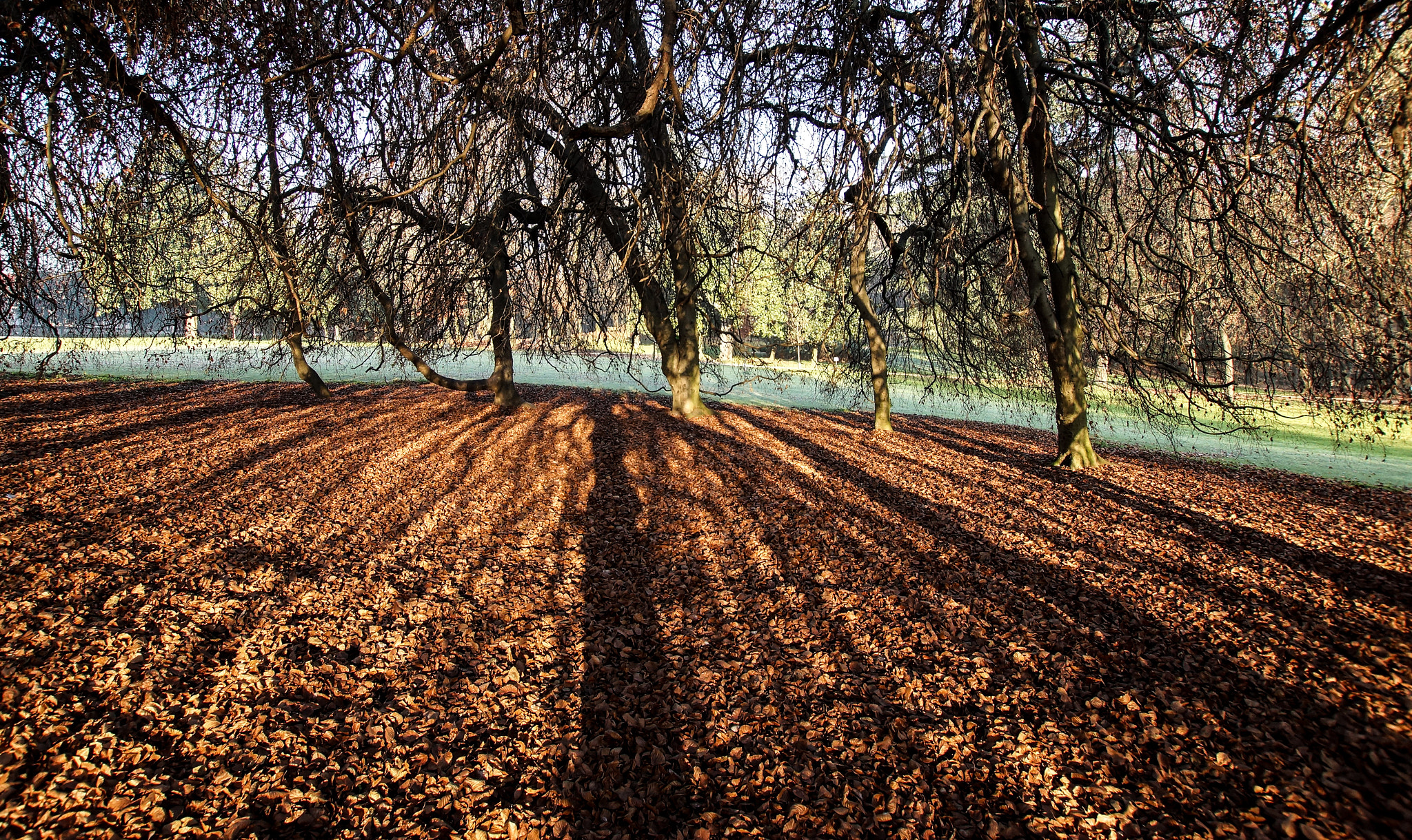 Sony SLT-A77 + 10-20mm F3.5 sample photo. Luce circolare photography