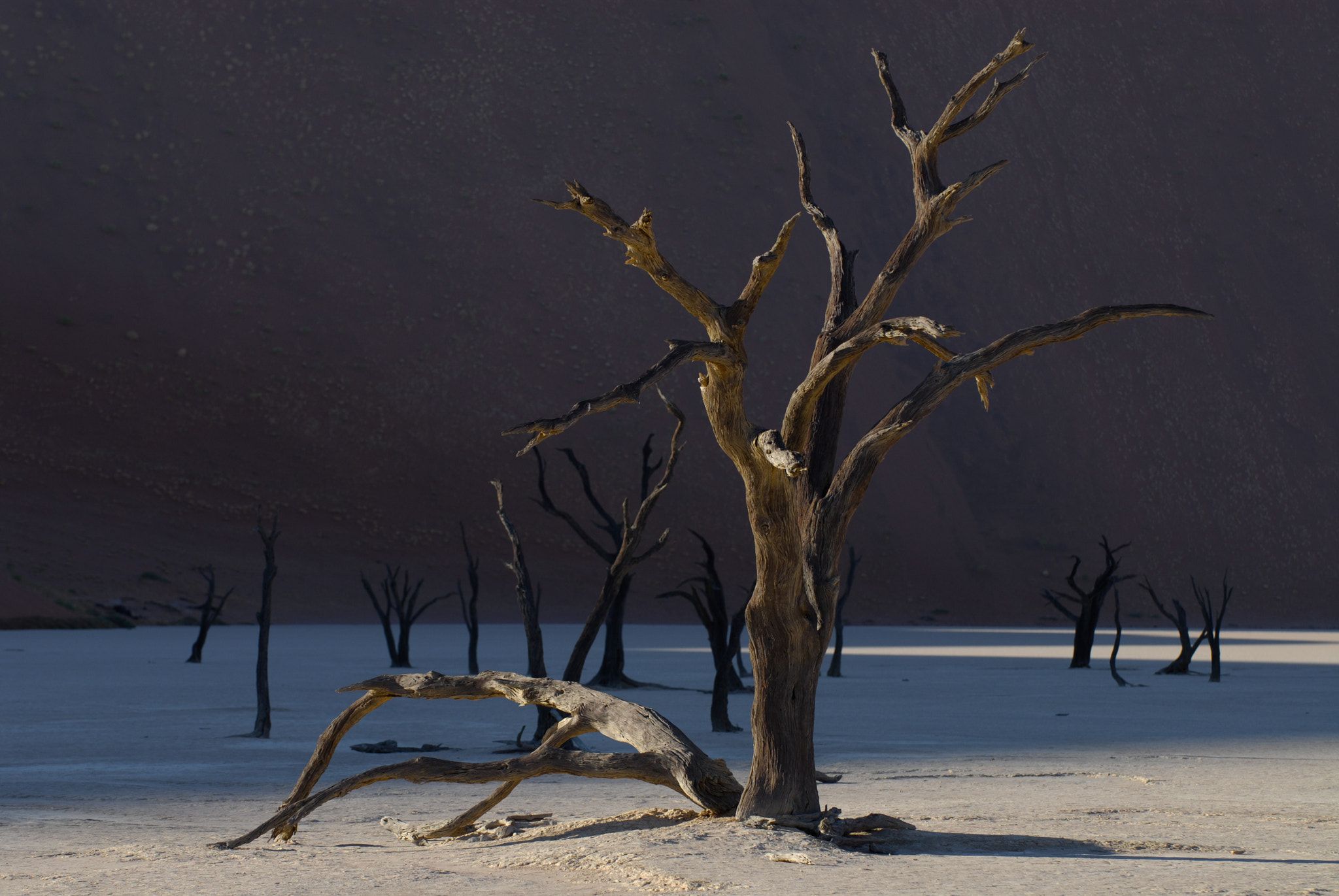 Nikon D200 sample photo. Sossuvlei photography