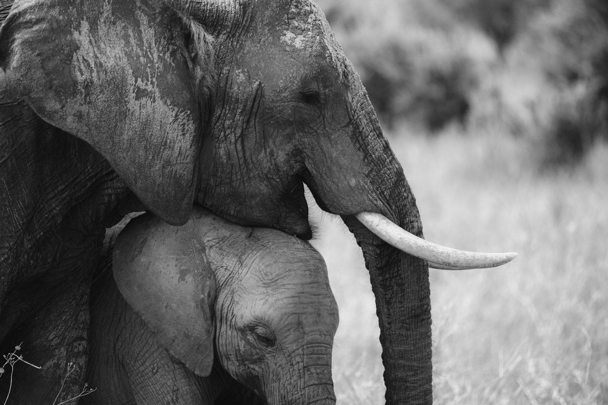 Nikon D800 sample photo. Real love! mother and baby having a moment - tanzania jan2017 photography