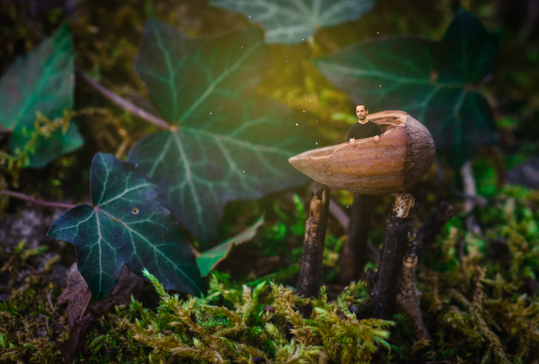 Nikon D800 sample photo. Ben miniature photography