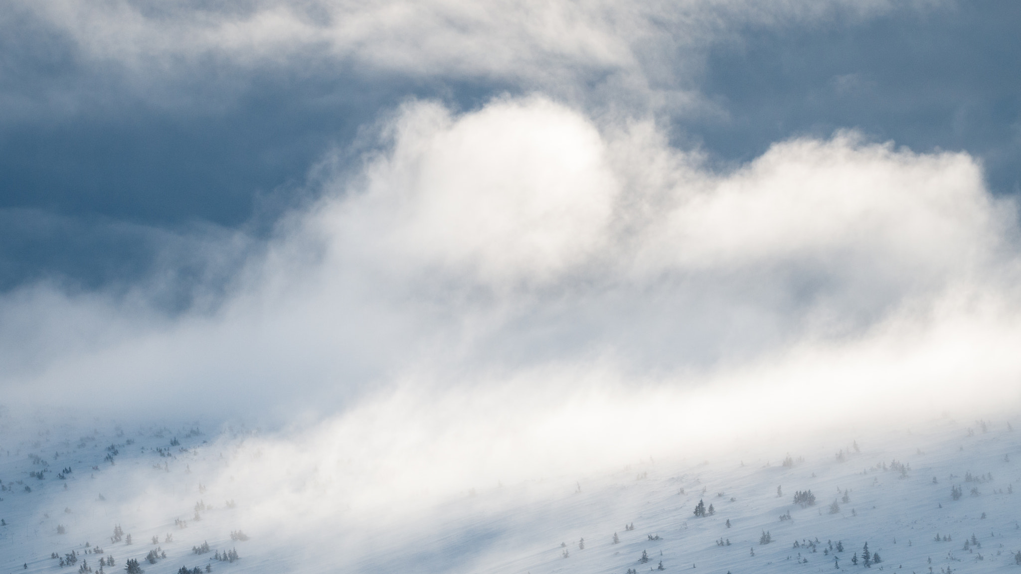 Nikon D300 sample photo. Mysteries of karkonosze photography