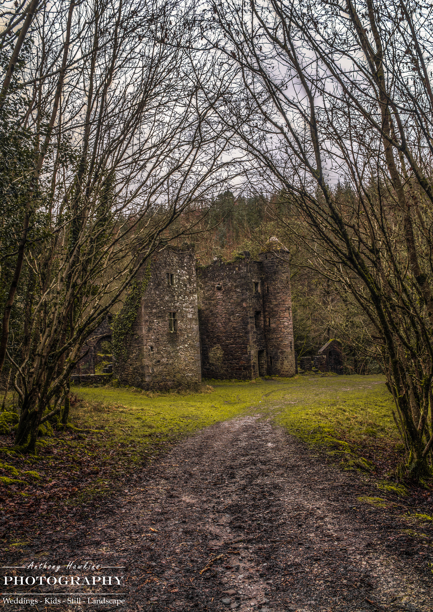 Canon EF-S 18-55mm F3.5-5.6 III sample photo. Carey's castle photography
