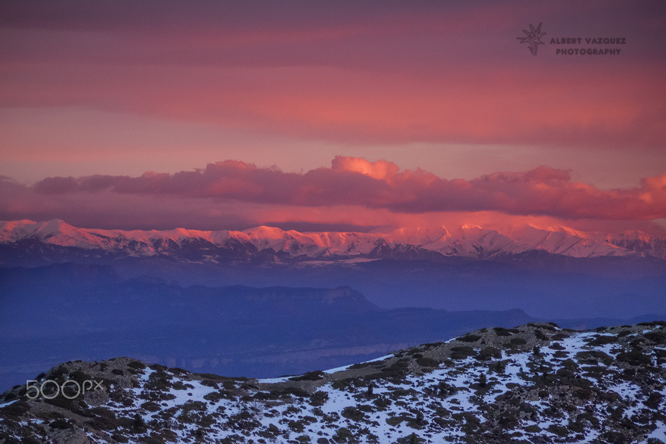 Olympus OM-D E-M1 + Panasonic Lumix G Vario 45-200mm F4-5.6 OIS sample photo. Snow at the sunrise photography