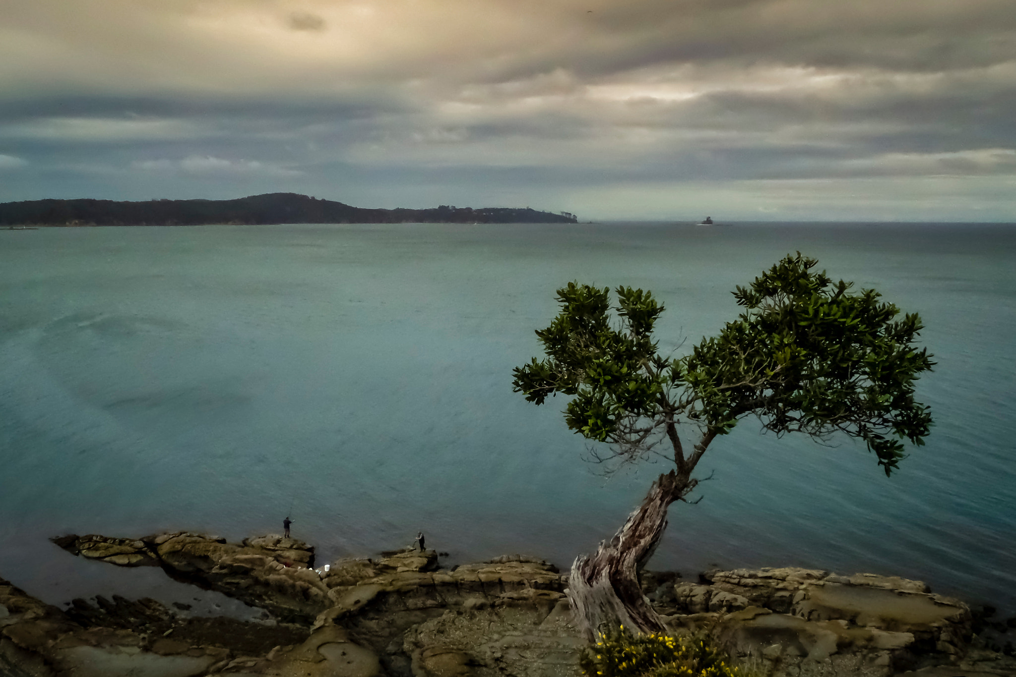 Samsung WB250F/WB251F/WB252F sample photo. One tree beach photography