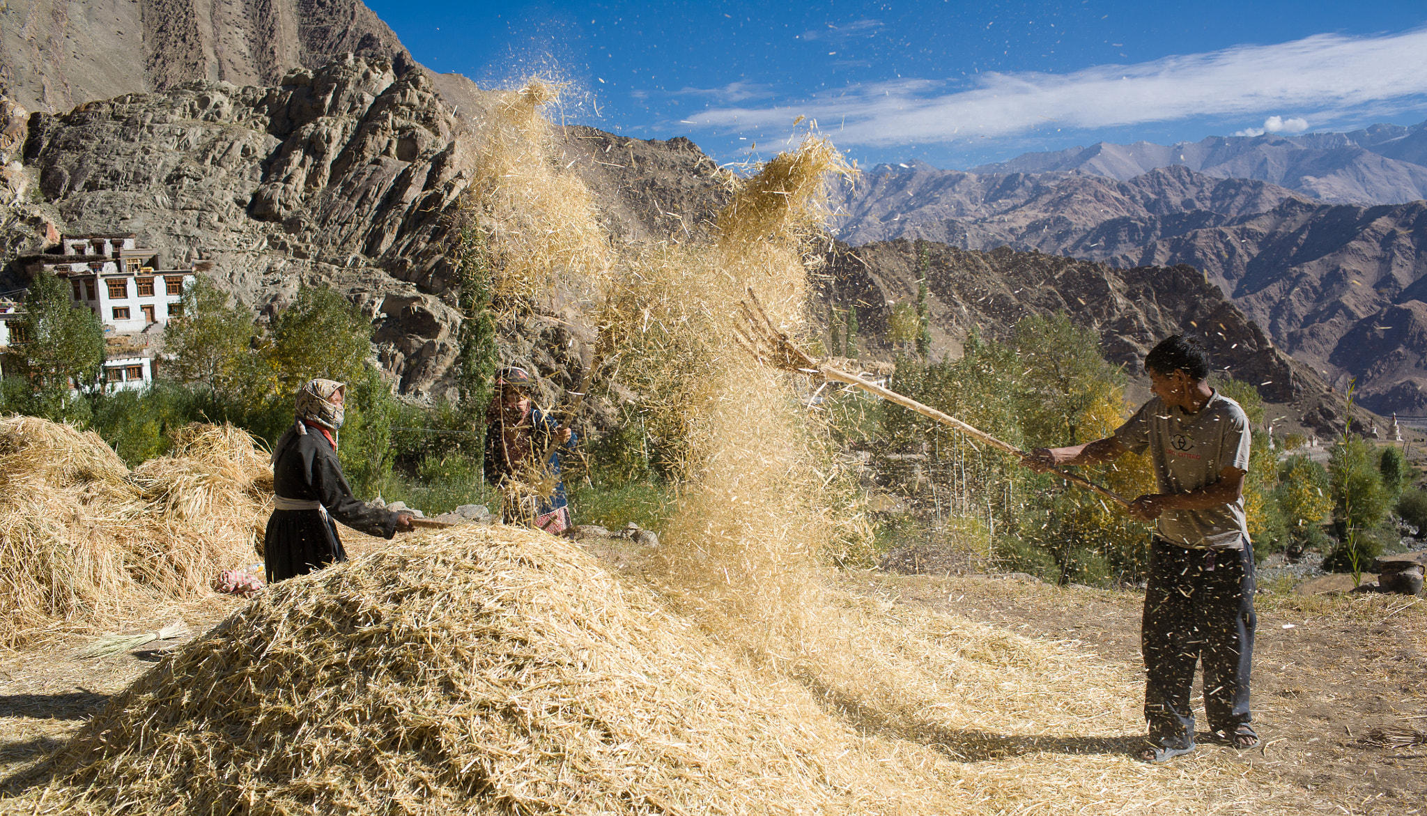 Canon EOS 5D + Canon EF 35mm F1.4L USM sample photo. Farmers in hemis village, ladakh photography