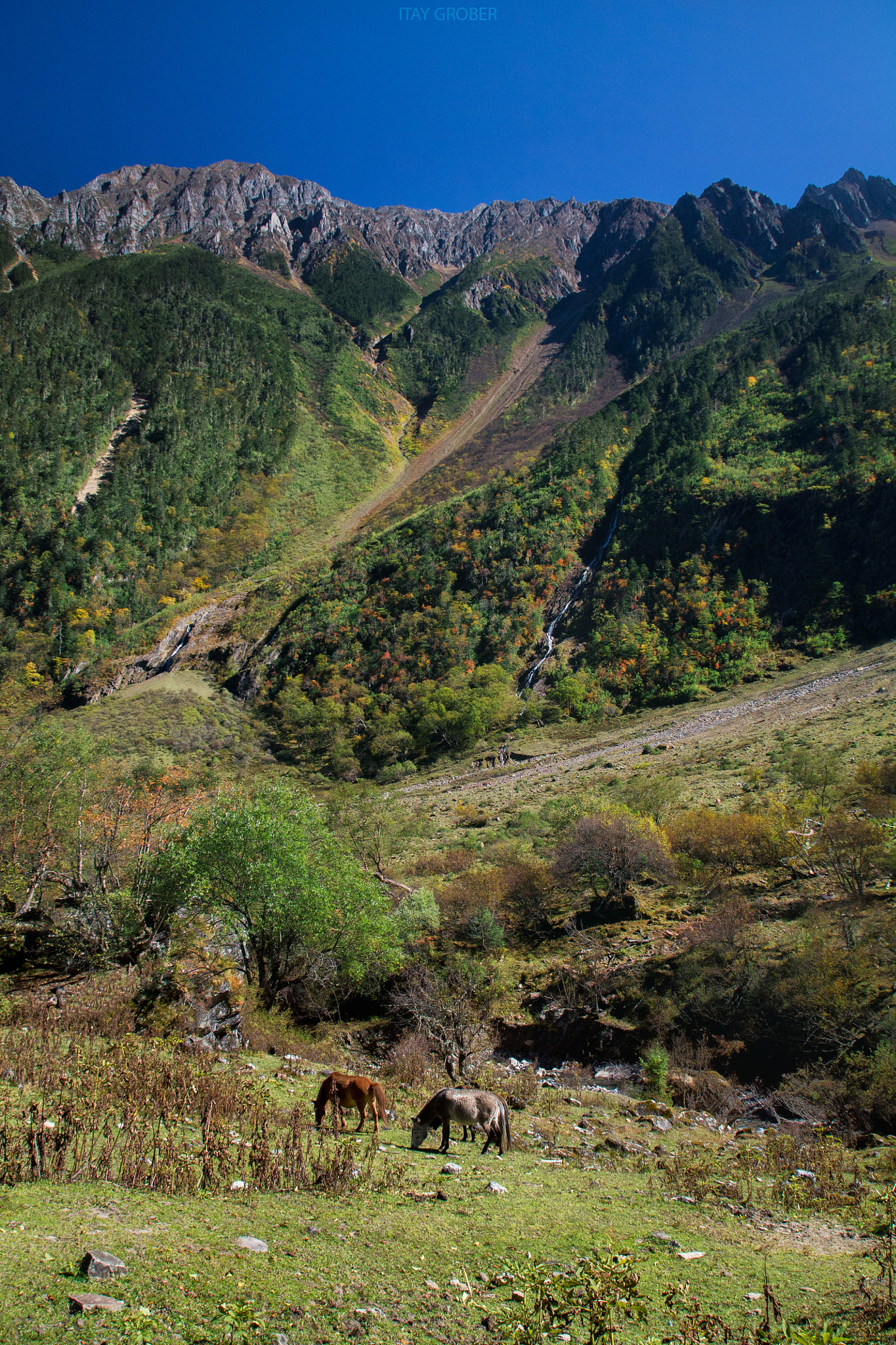 Canon EF-S 17-55mm F2.8 IS USM sample photo. Mountain horses photography
