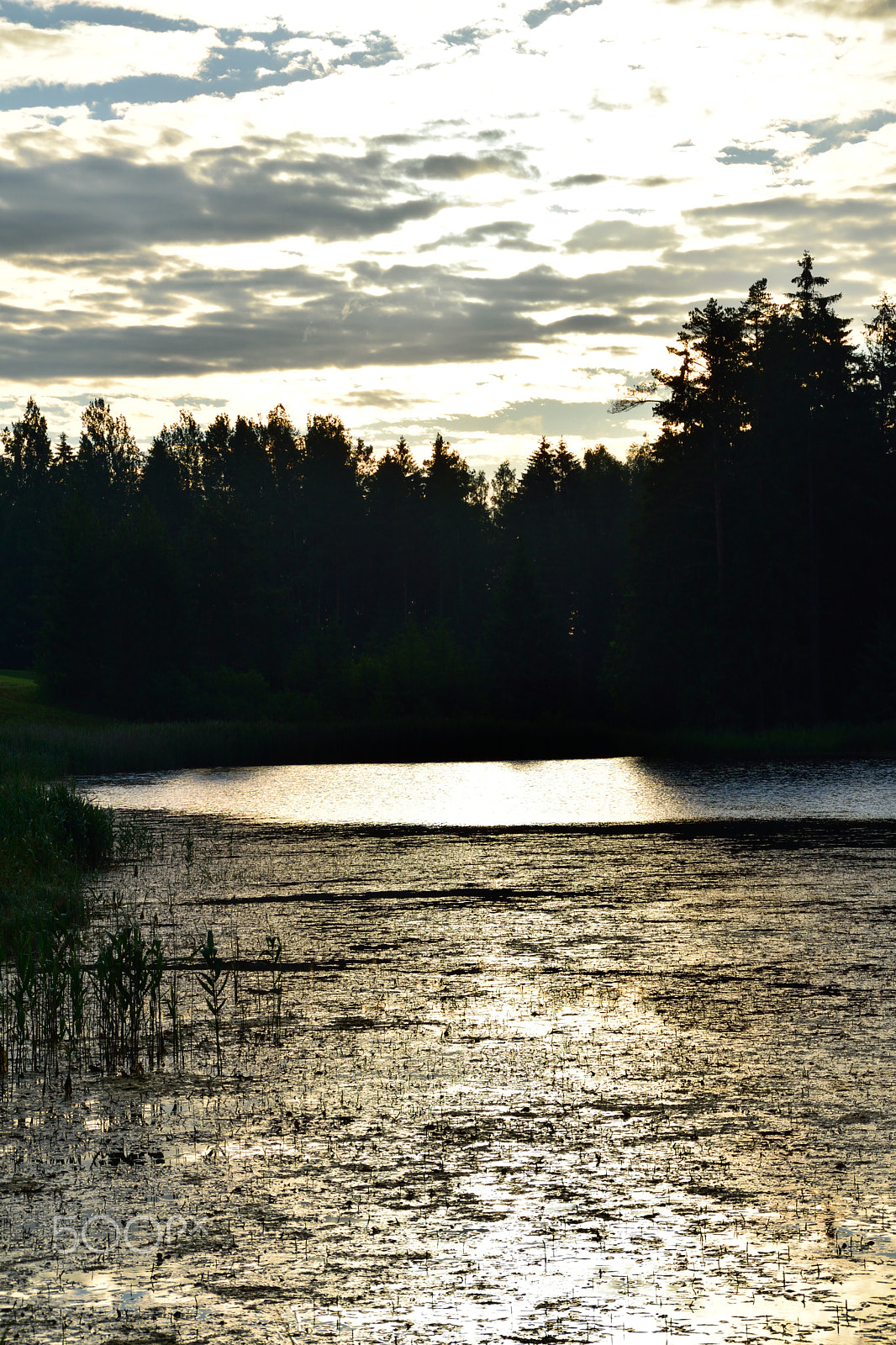 Nikon D3300 + Tamron AF 18-200mm F3.5-6.3 XR Di II LD Aspherical (IF) Macro sample photo. Summer sunrise near the lake. photography