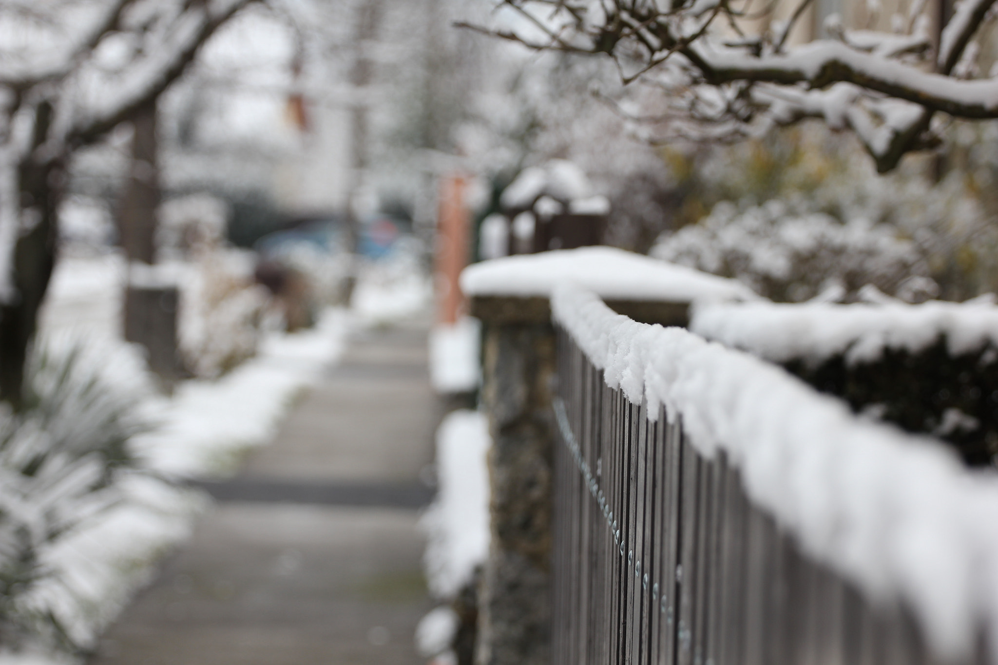 Canon EOS 550D (EOS Rebel T2i / EOS Kiss X4) + Canon EF 70-200mm F4L USM sample photo. Snow on fence photography