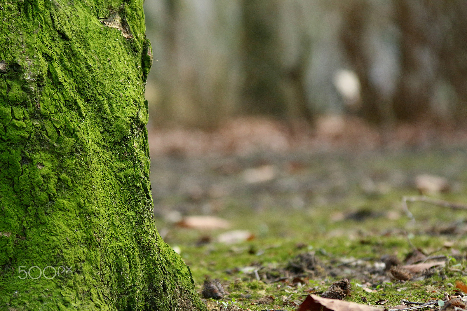 Canon EF 28-135mm F3.5-5.6 IS USM sample photo
