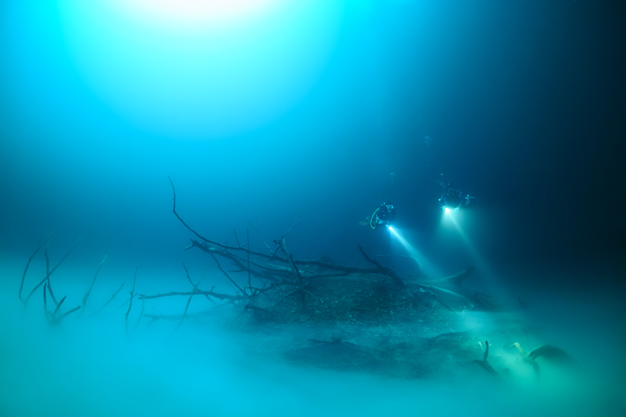Sony FE 28mm F2 sample photo. The sunken forest photography