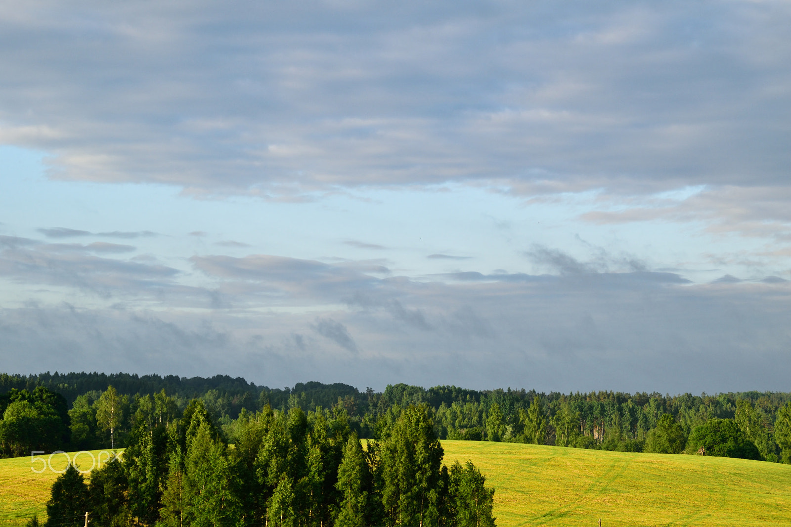 Nikon D3300 + Tamron AF 18-200mm F3.5-6.3 XR Di II LD Aspherical (IF) Macro sample photo. Peaceful summer scenery. photography