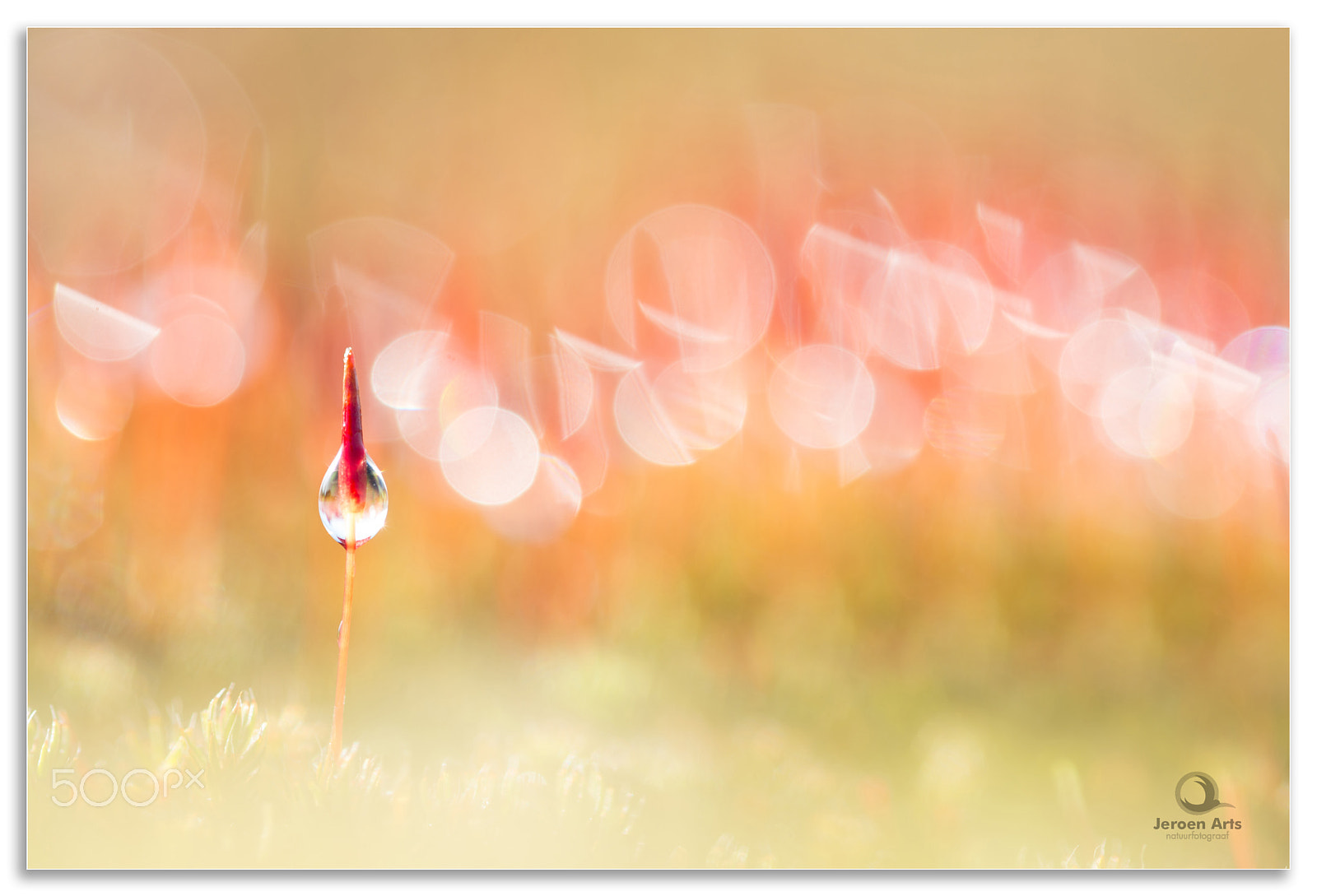 Nikon D800 sample photo. Lights in a row photography