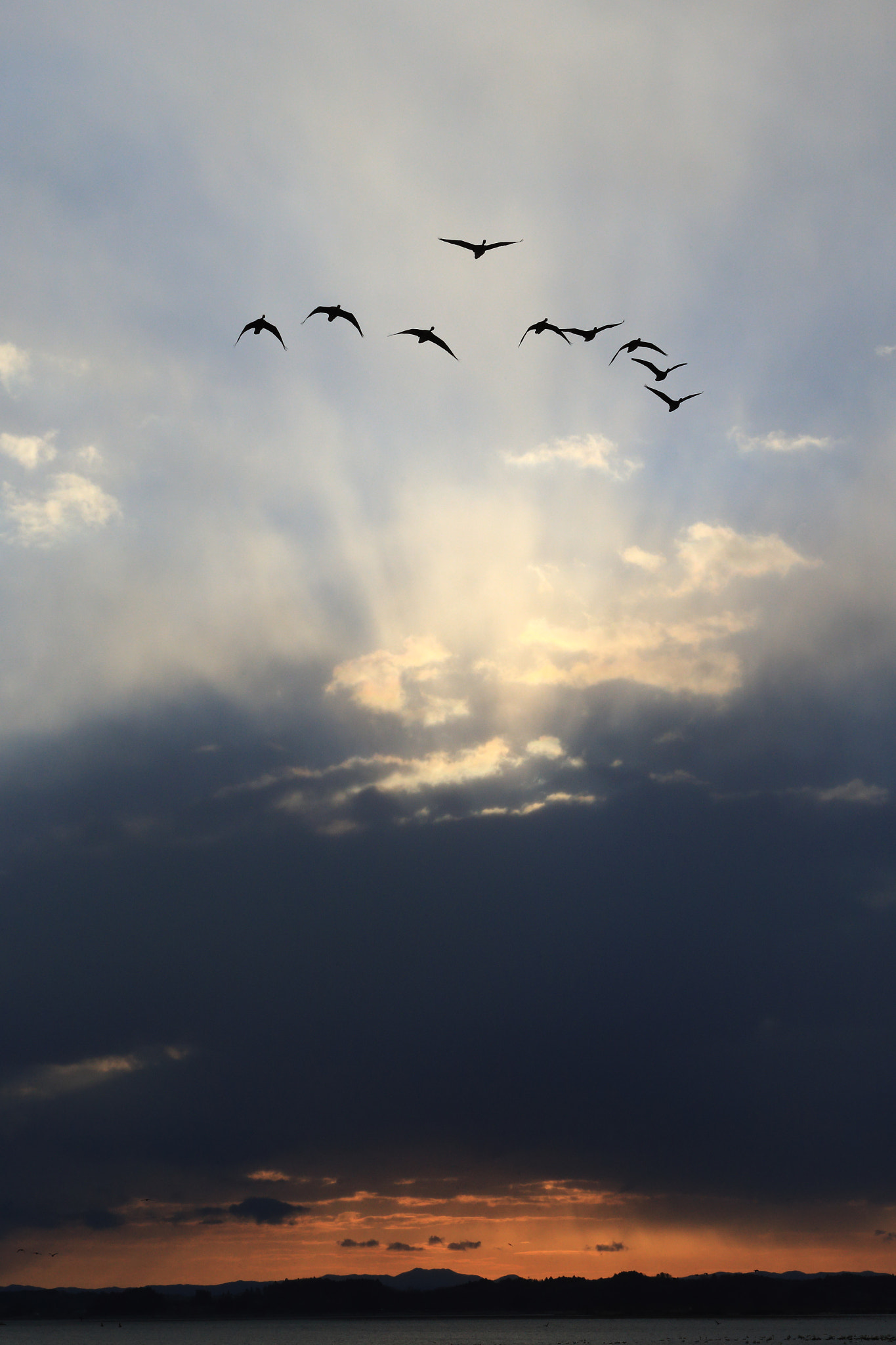 Canon EF 70-200mm F2.8L USM sample photo. Sky-high photography