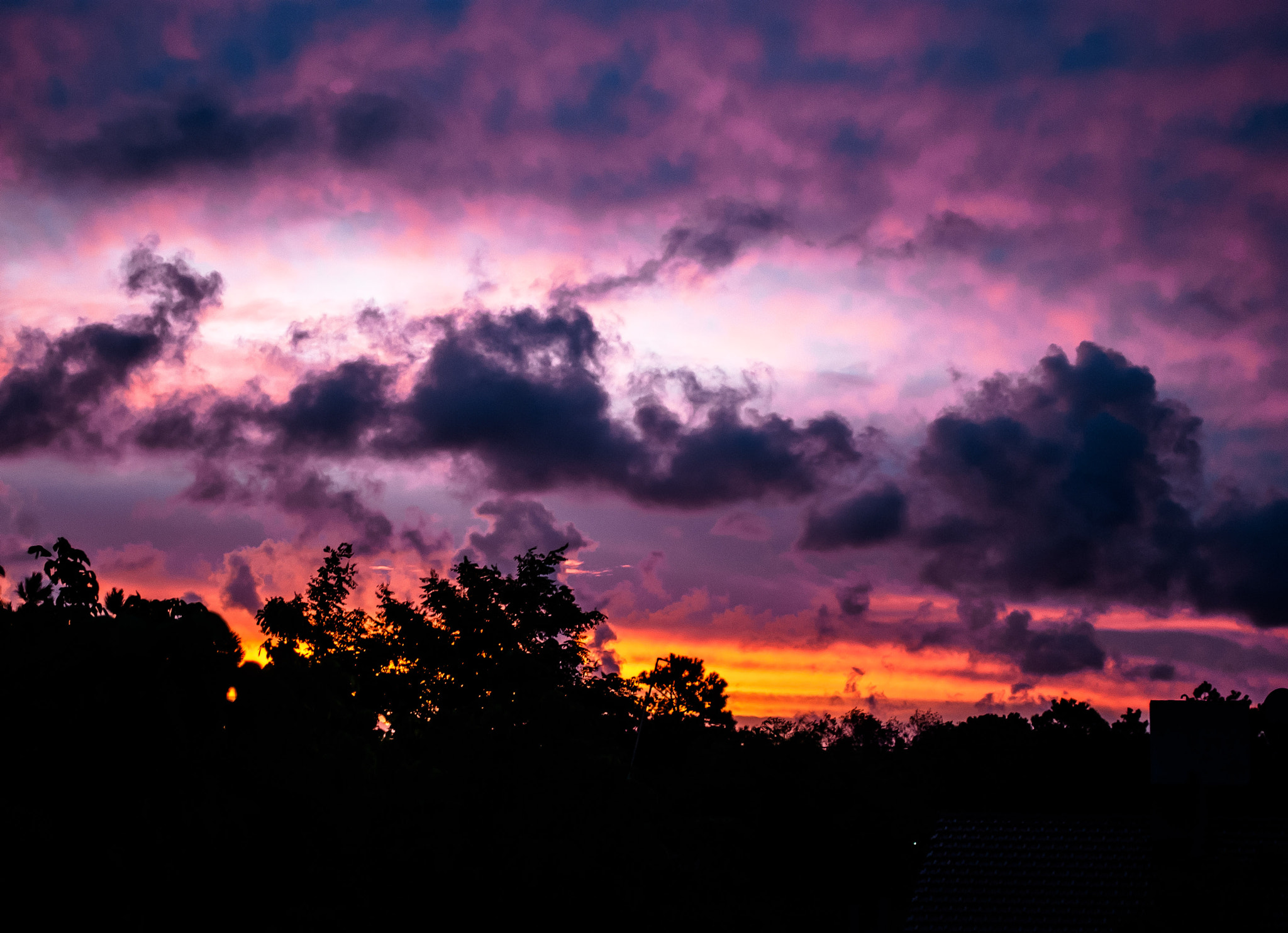 Nikon D80 sample photo. Purple sky photography