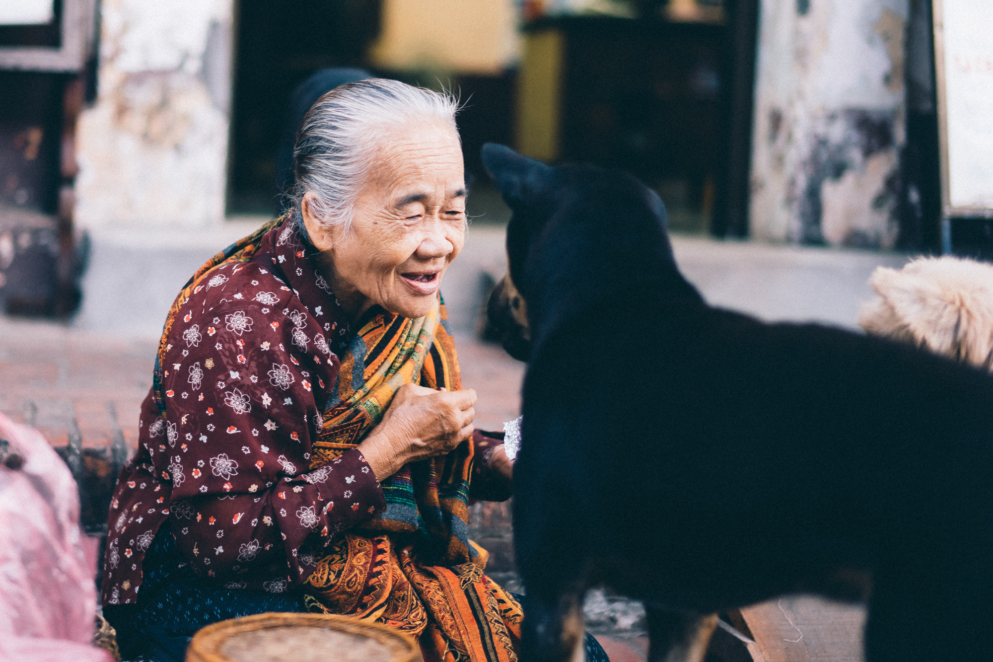 Sony a7 + Sony Planar T* 50mm F1.4 ZA SSM sample photo. 라오스 photography